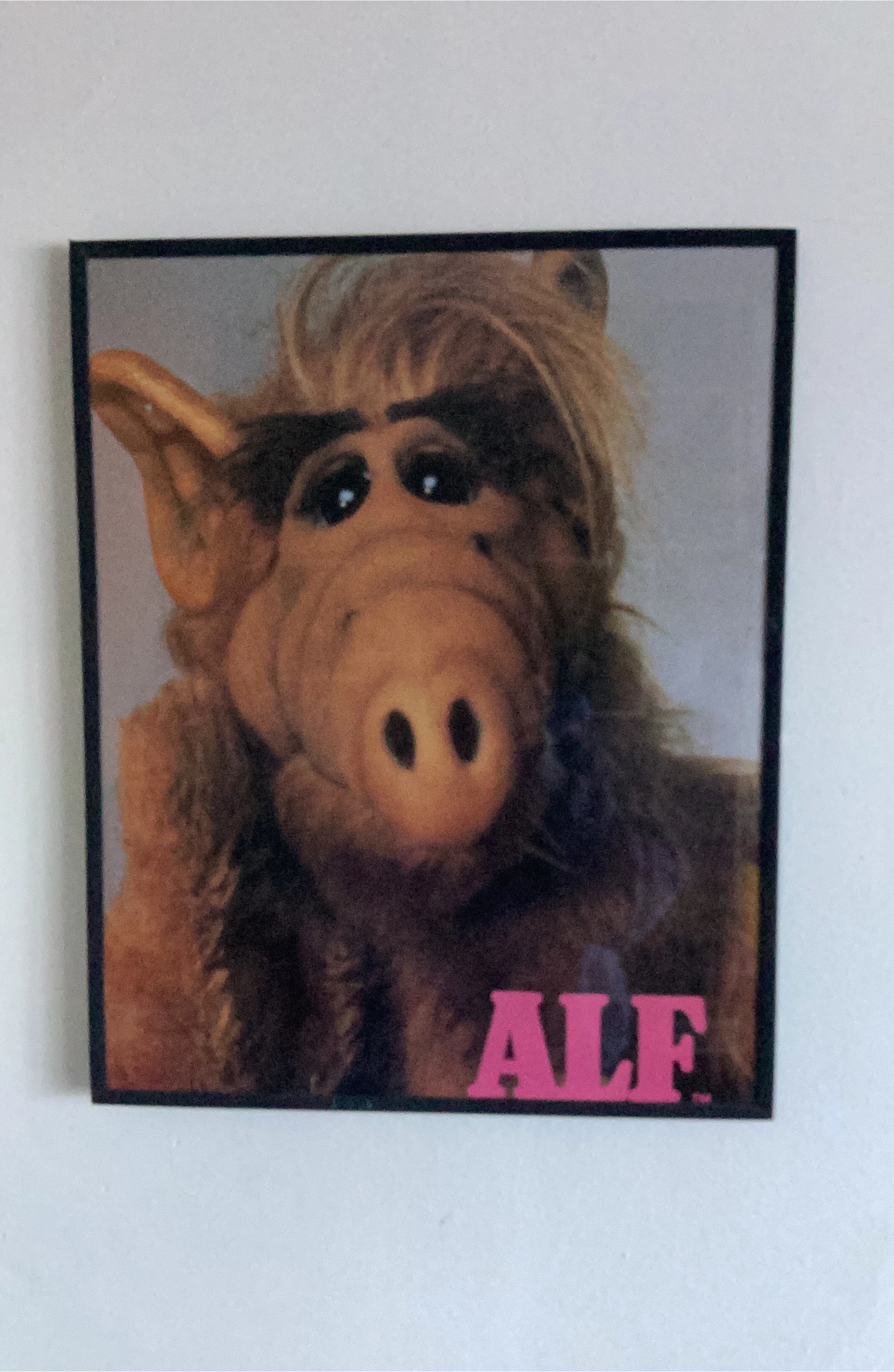 Framed ALF poster