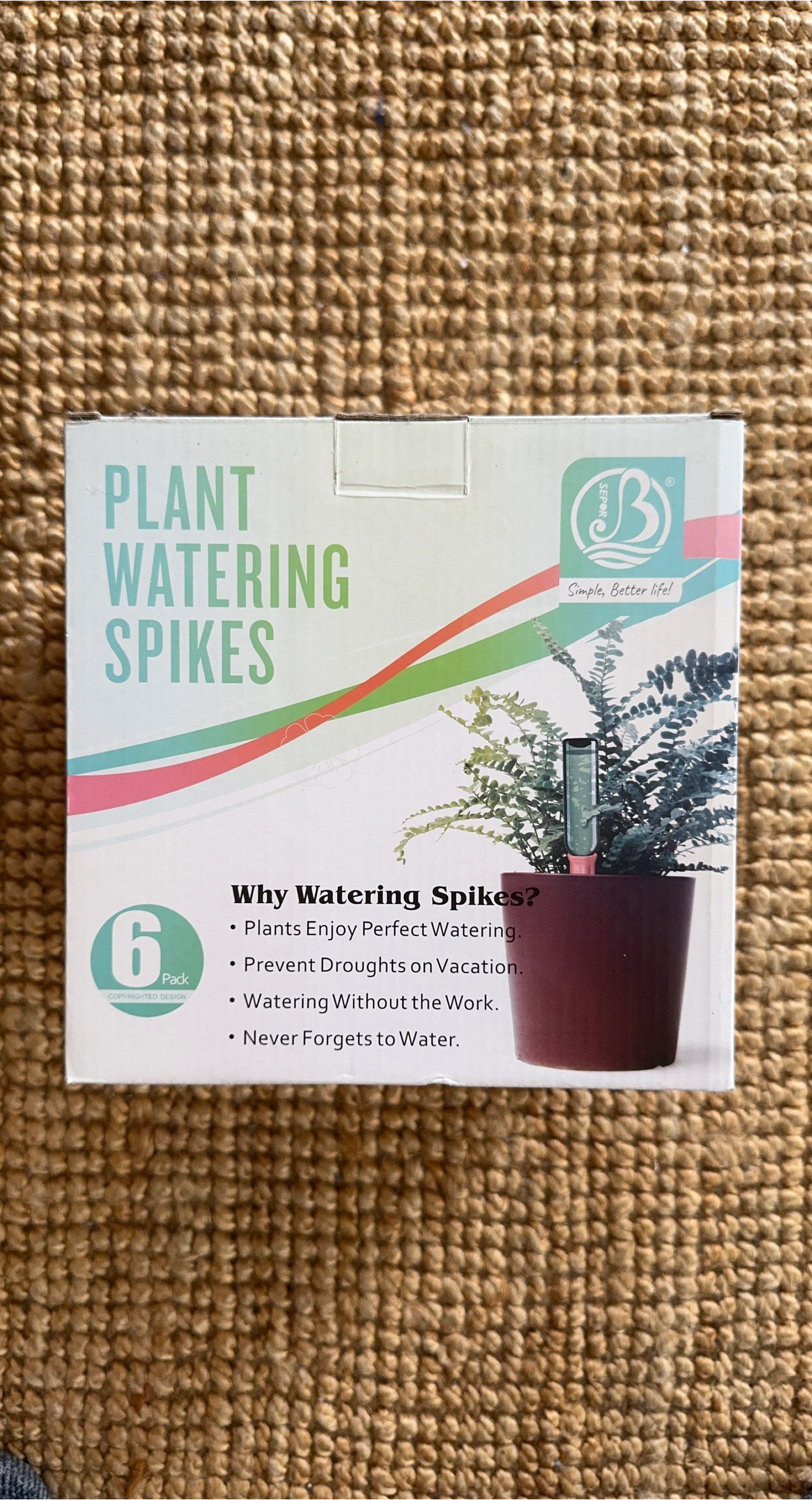 Plant Watering Spikes - 6 Pack