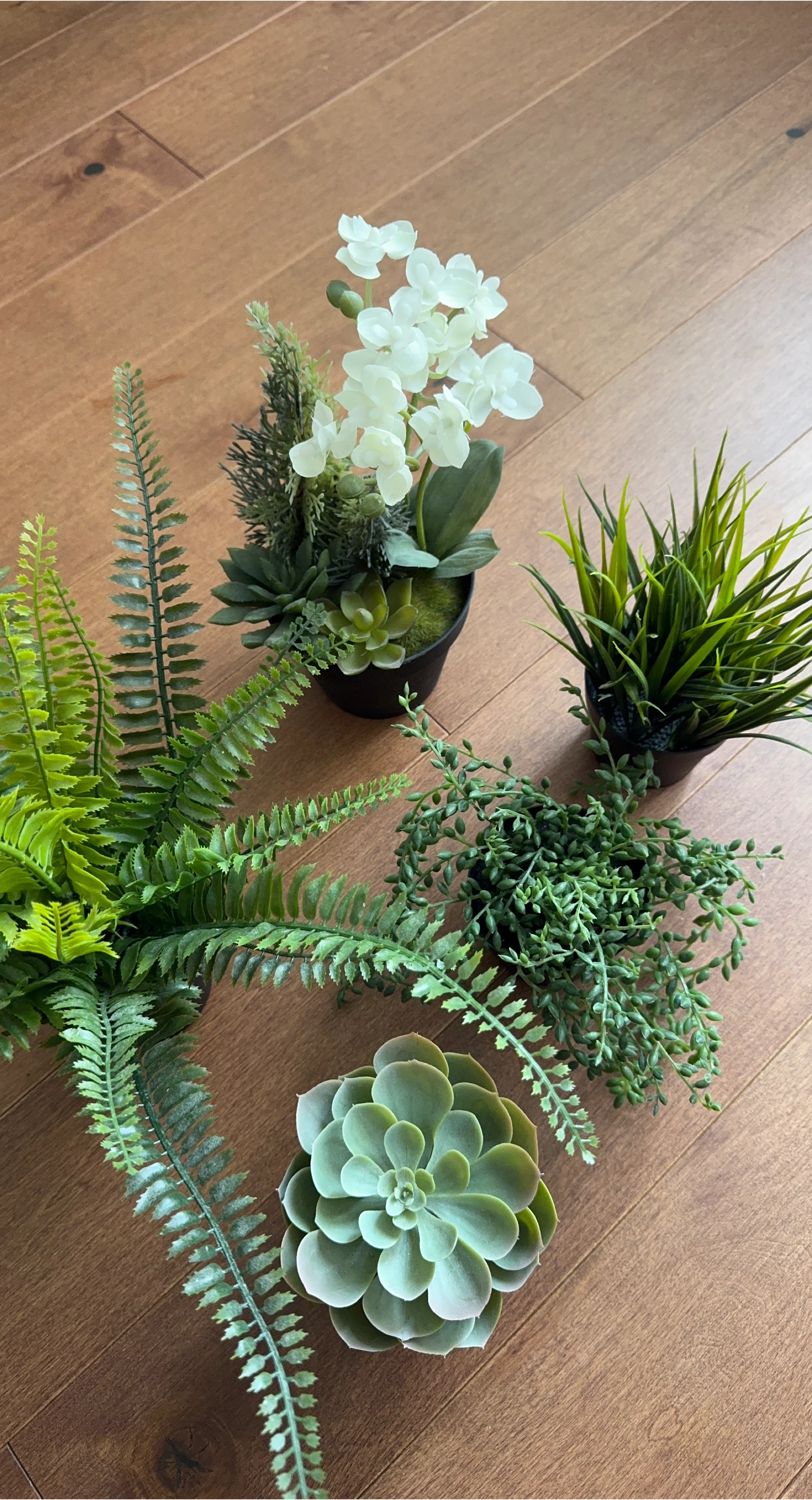 Set of 5 IKEA Artificial Plants (FEJKA + VINTERFEST)