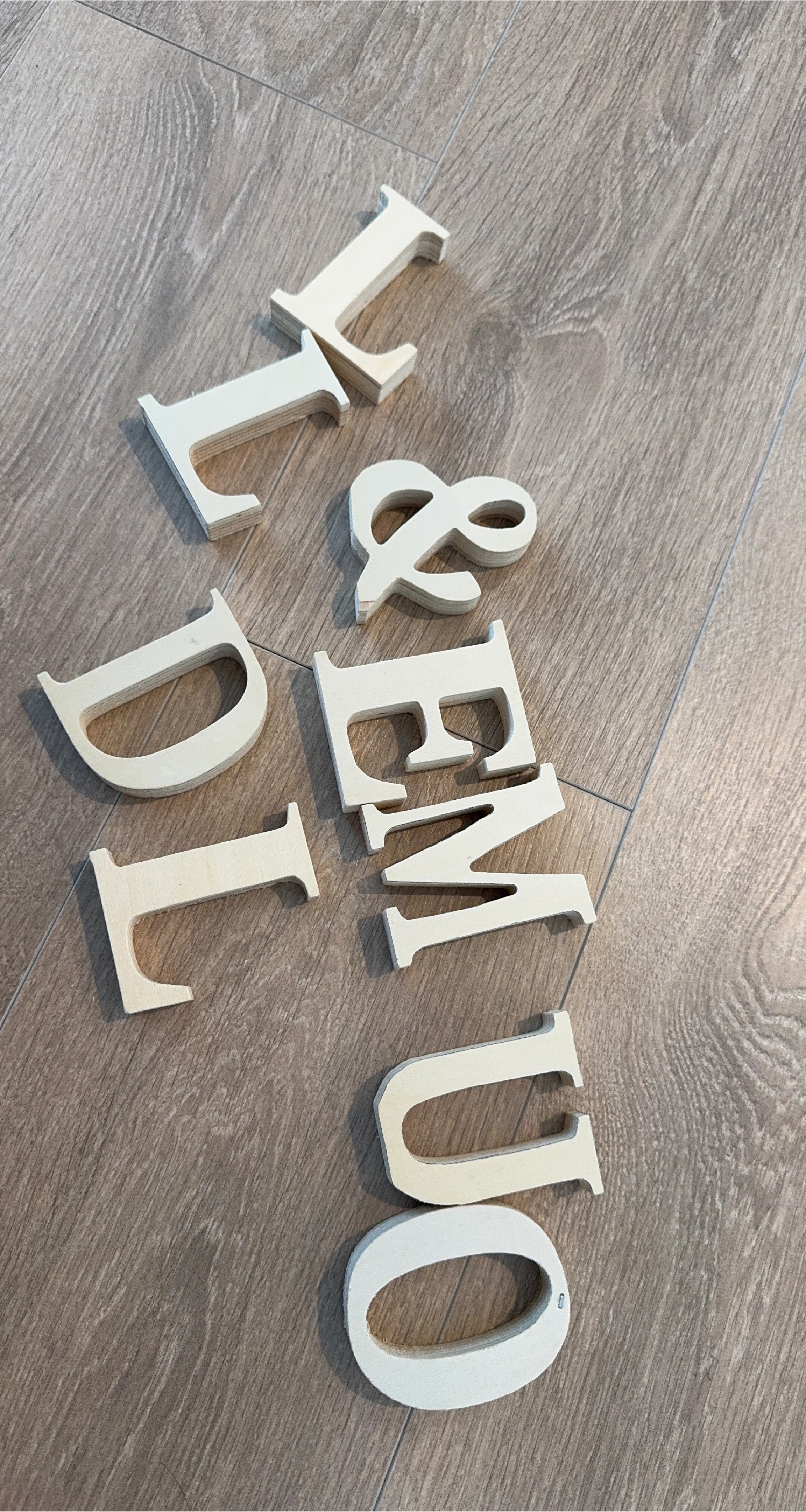 Wooden Letters and Ampersand "I & DEMO GO"
