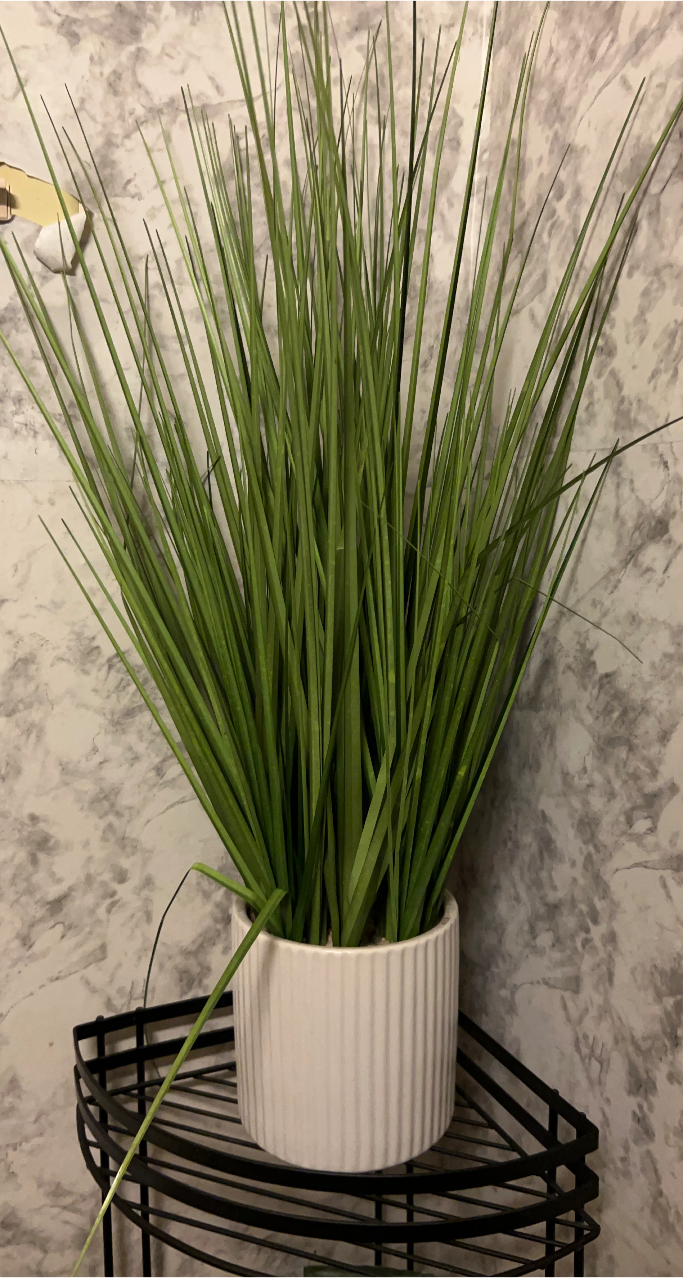 Artificial Grass Plant in White Pot