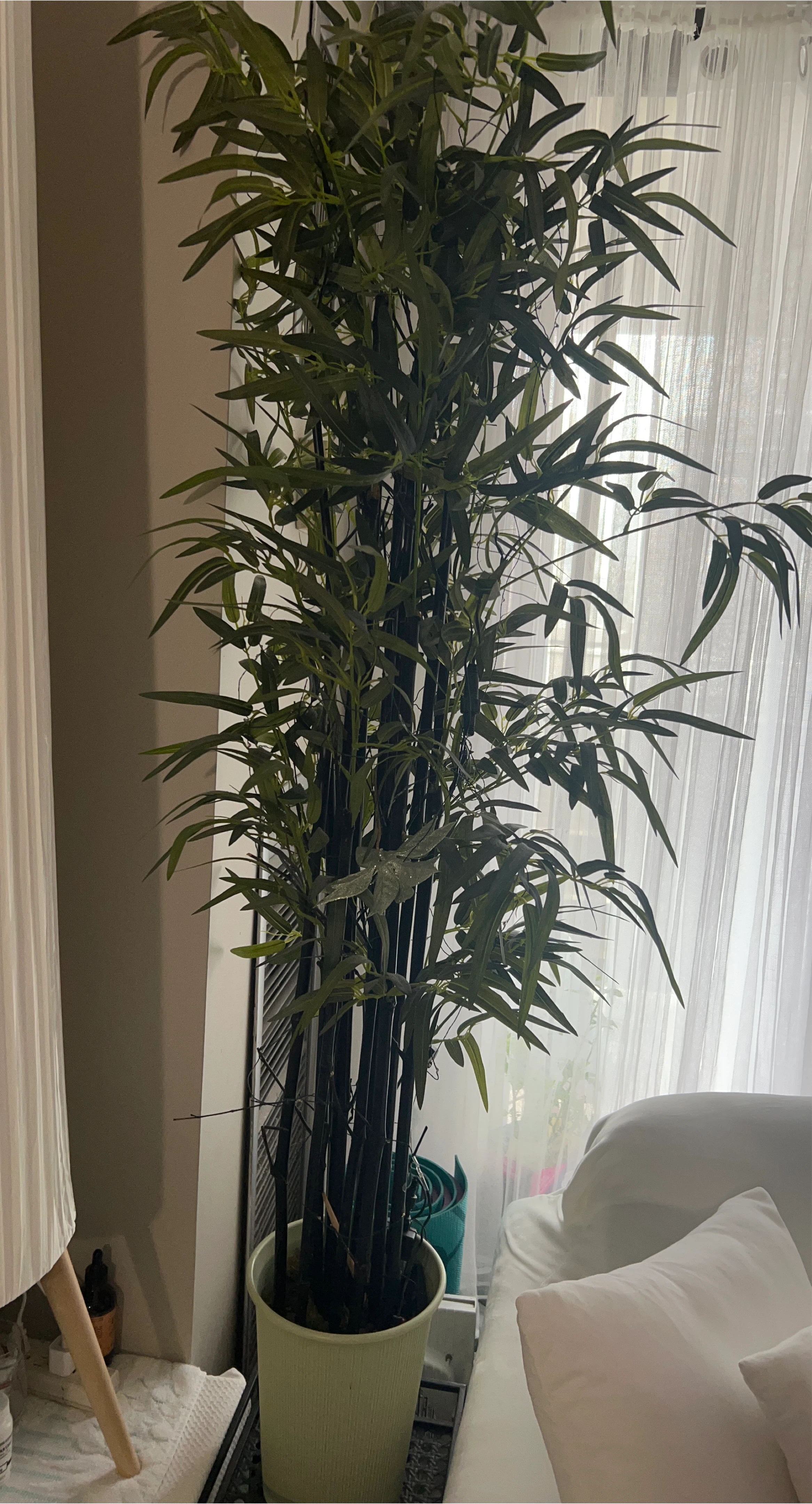 Artificial Bamboo Plant in Light Green Pot