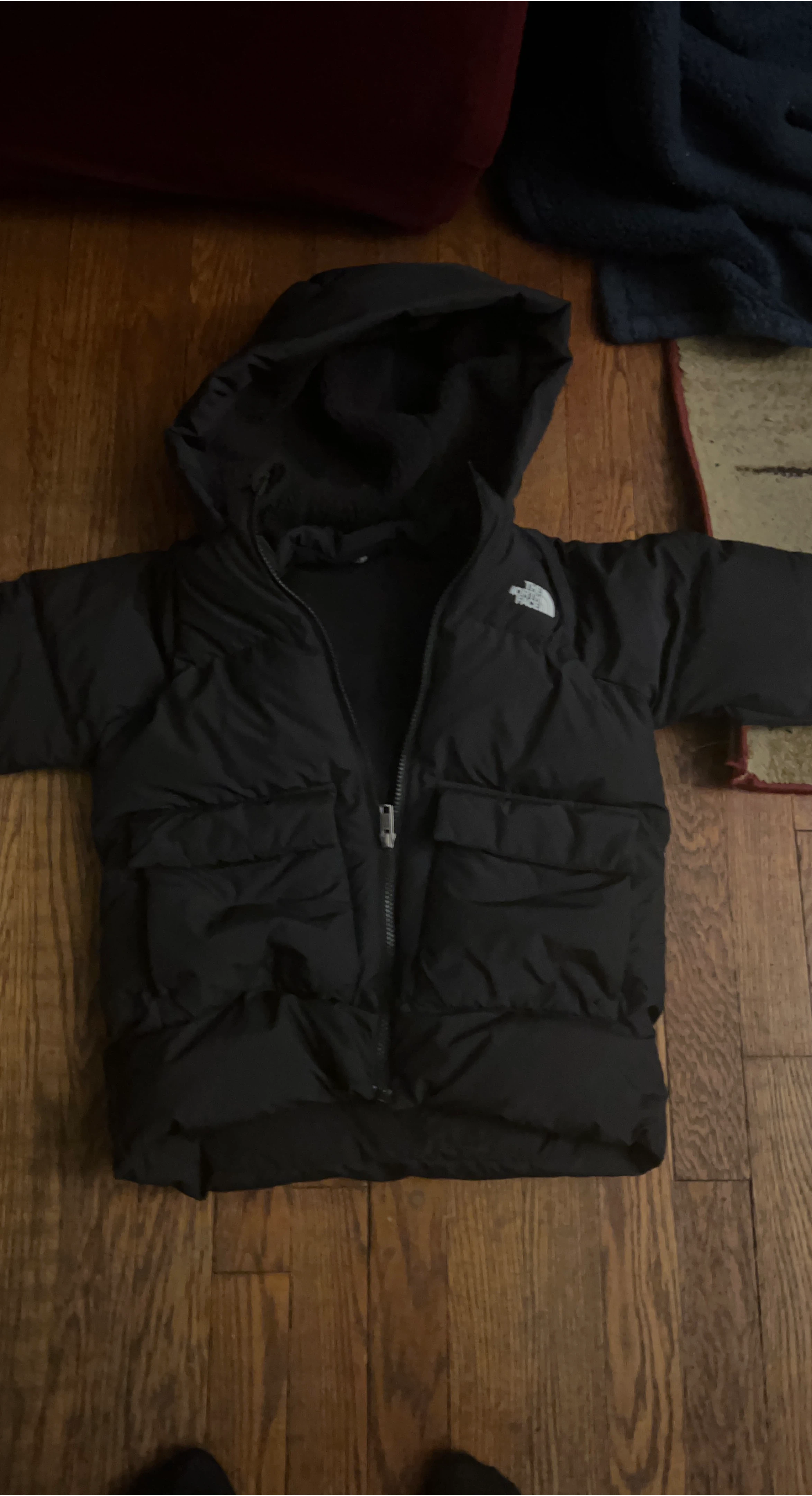 The North Face Puffer Jacket Black Hooded