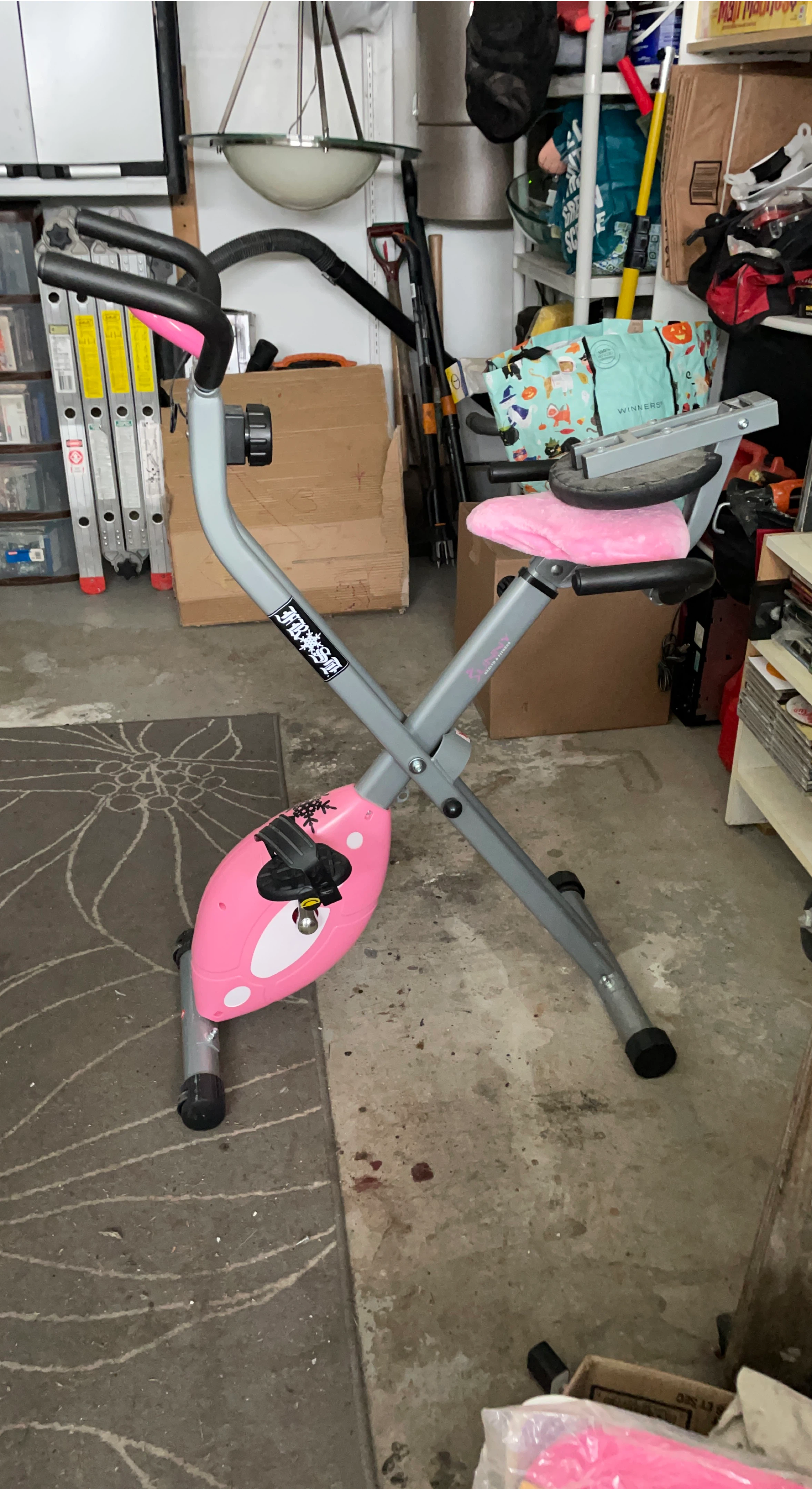 Sunny Health & Fitness Folding Exercise Bike