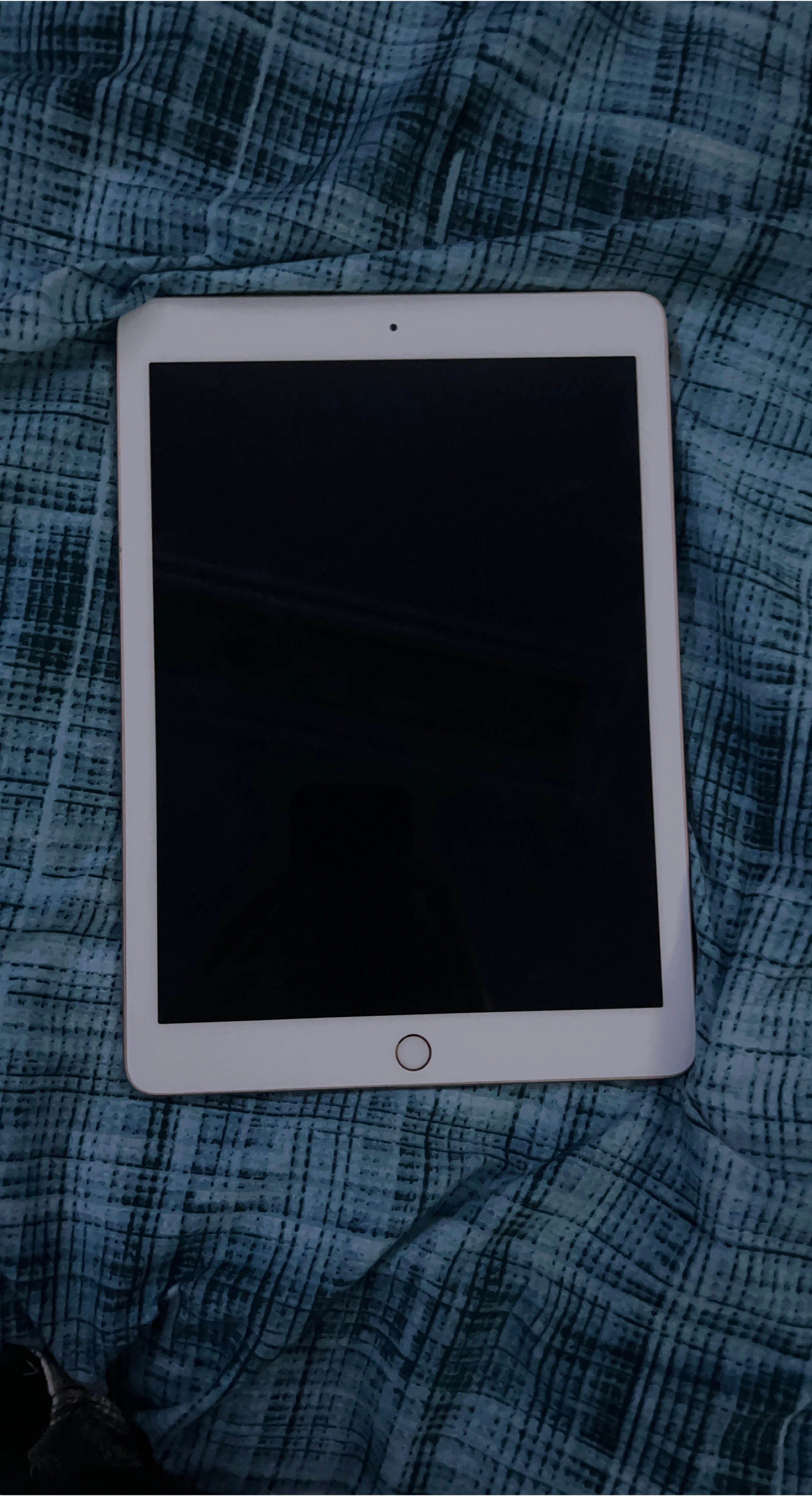 Apple iPad