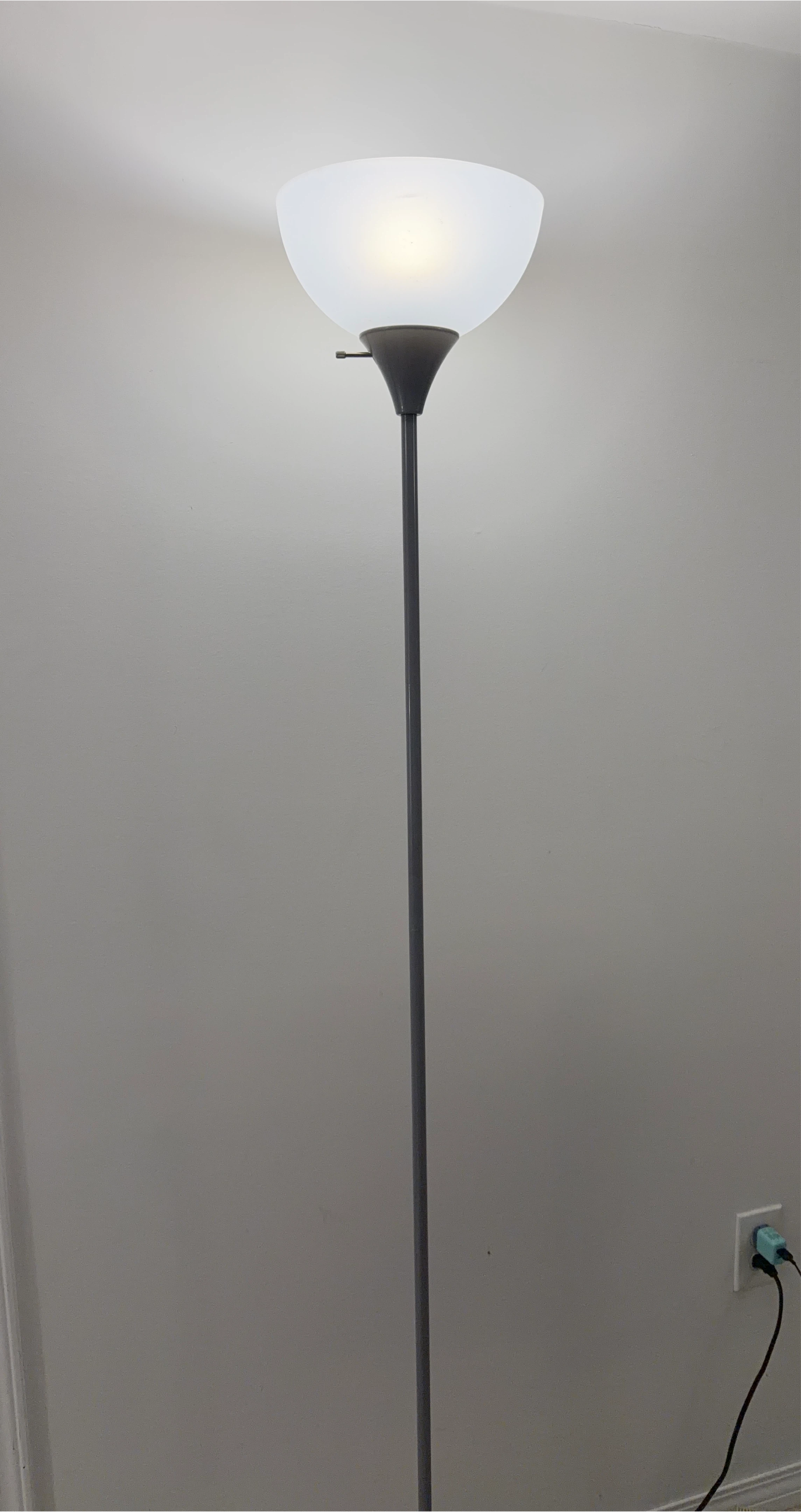 Black Floor Lamp with Frosted Shade