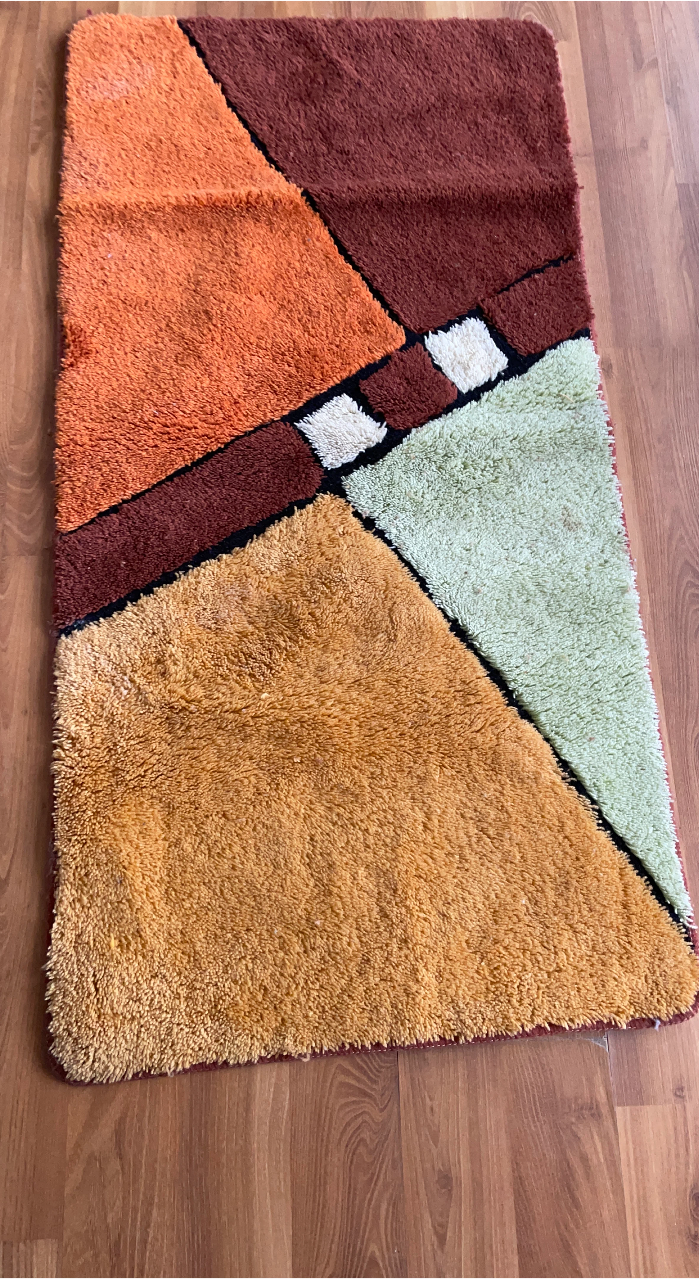 Shag Rug with Geometric Design