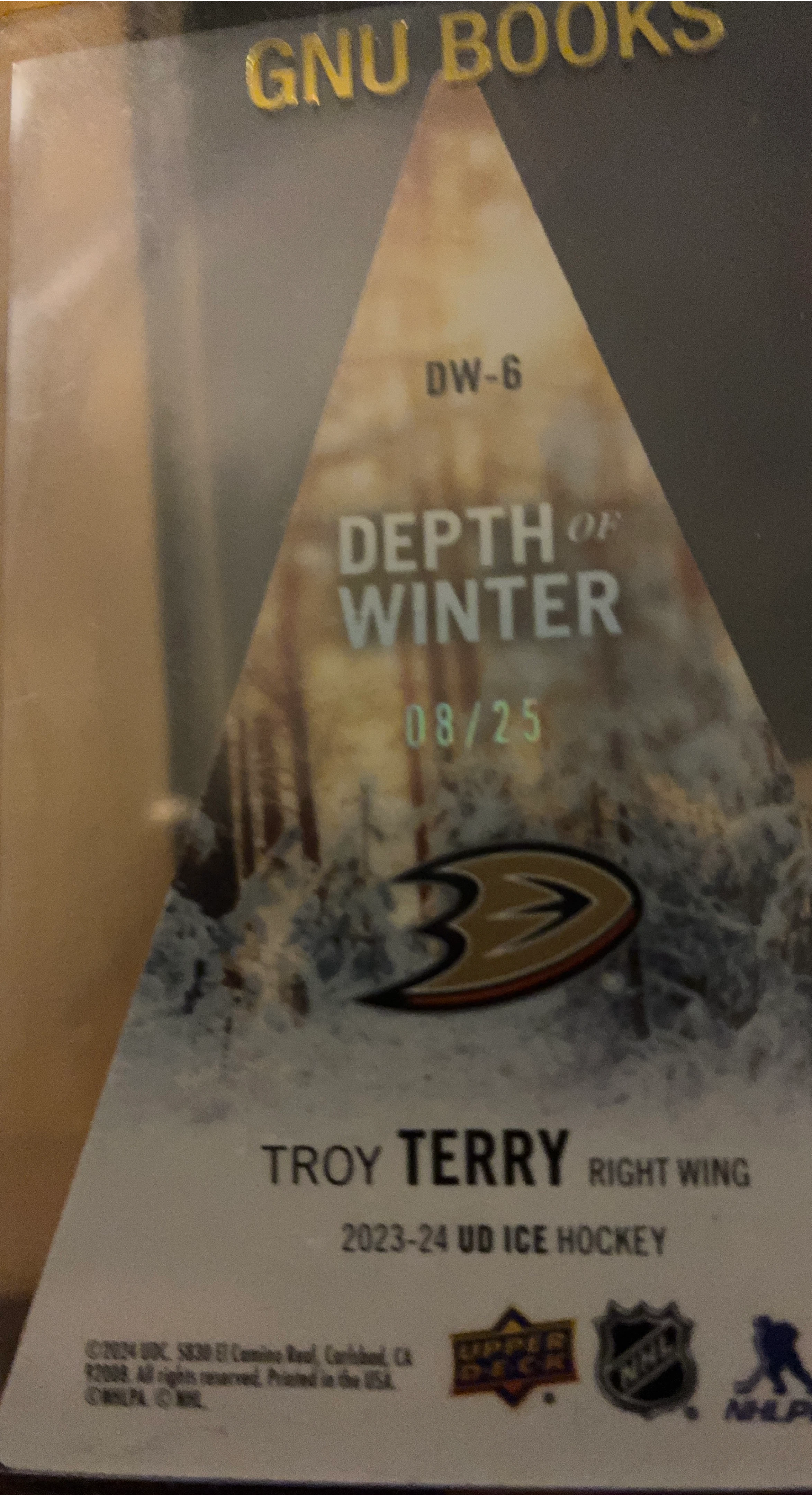 2023-24 UD Ice Hockey Troy Terry "Depth of Winter" 08/25