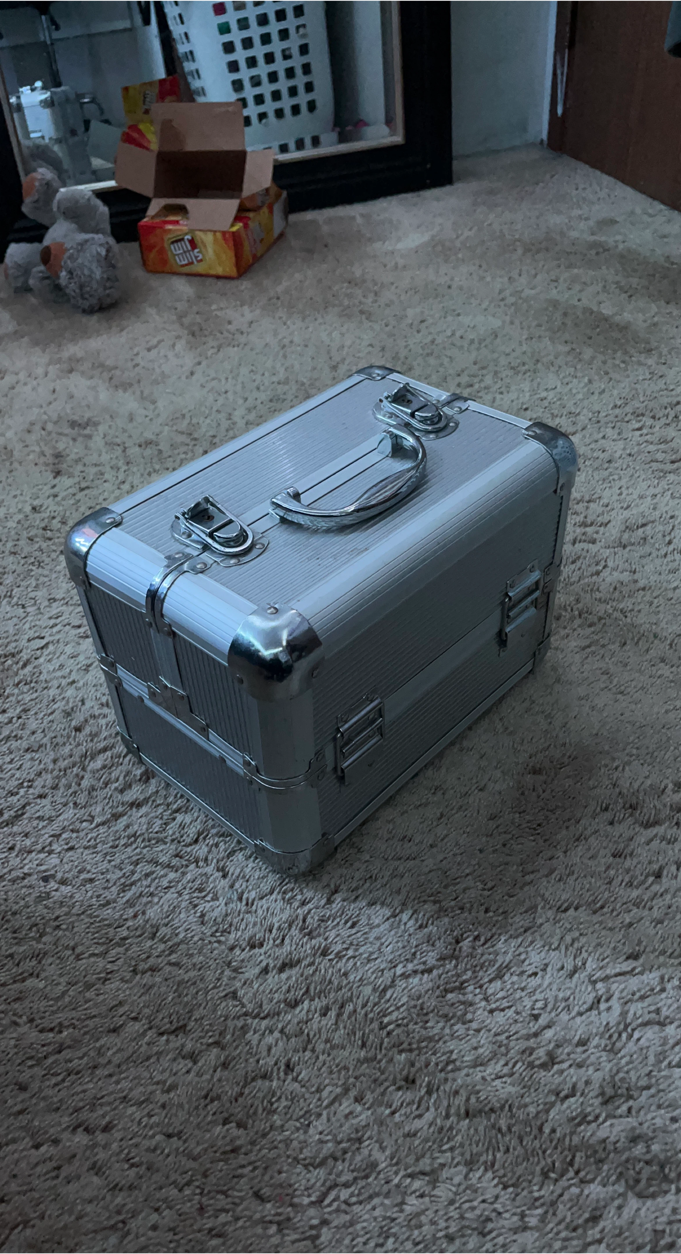 Silver Aluminum Makeup Train Case