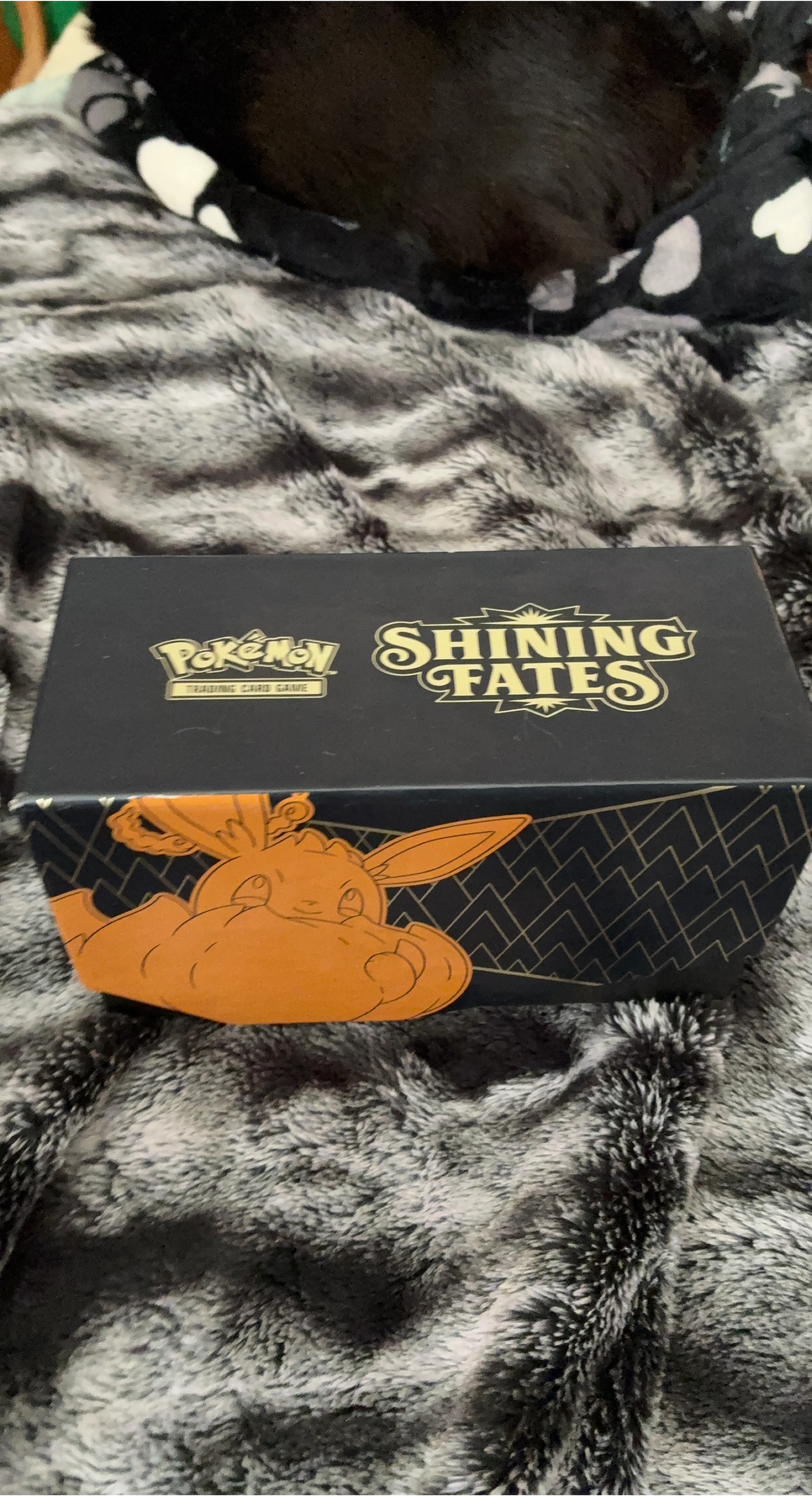 Pokemon Shining Fates Trading Card Game Box