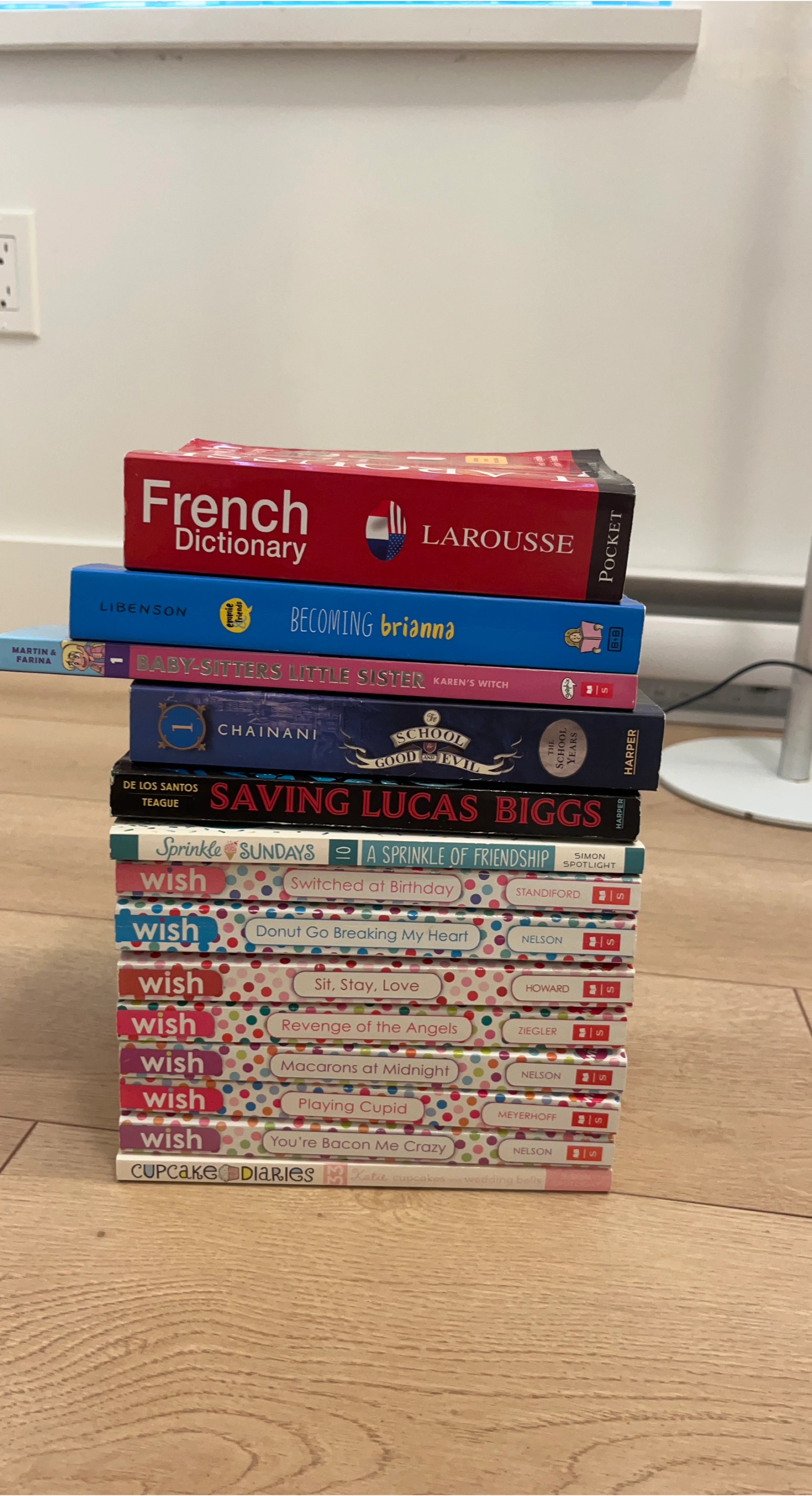 Bundle of Children's Books including Larousse French Dictionary