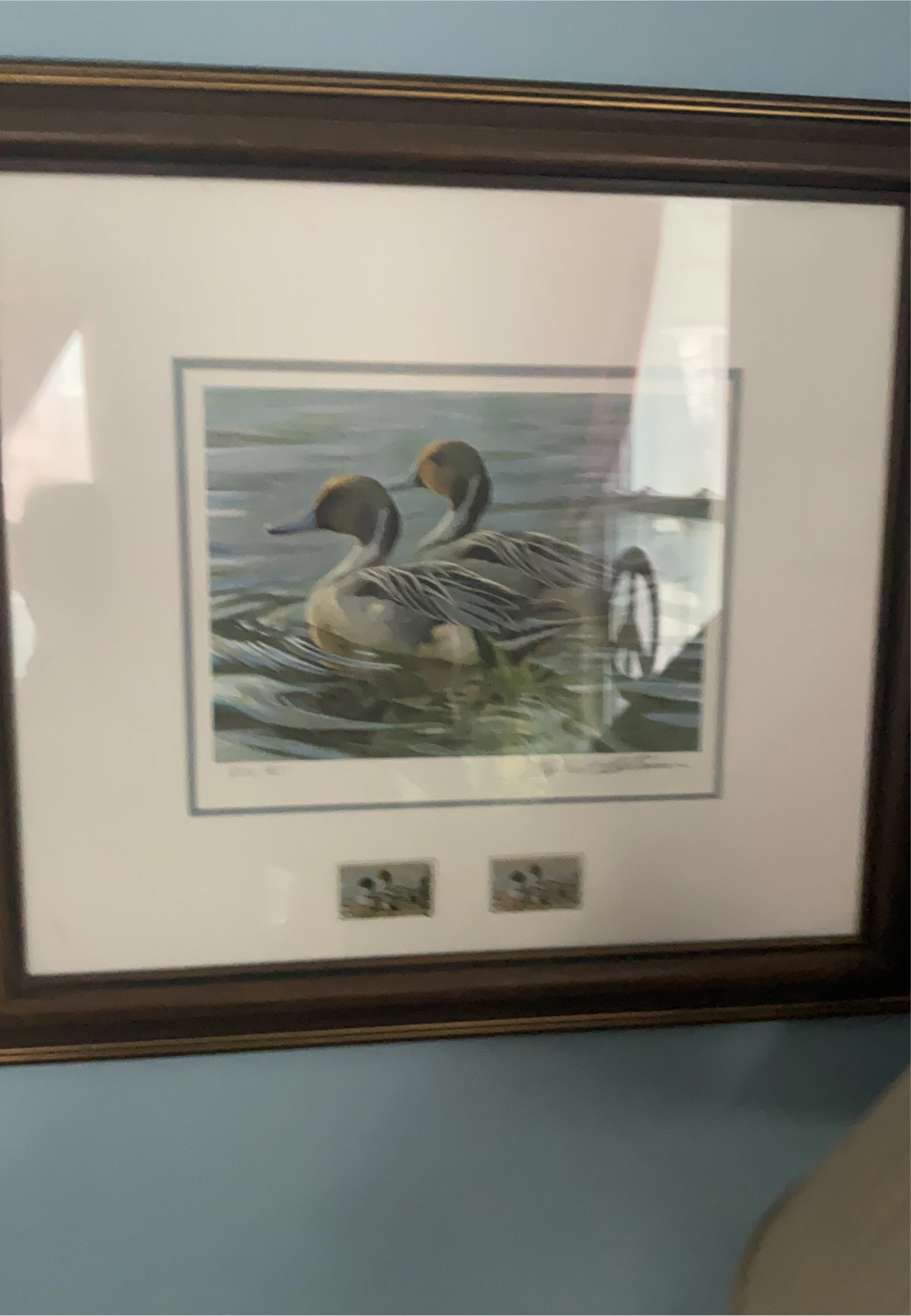 Framed Artwork of Two Ducks