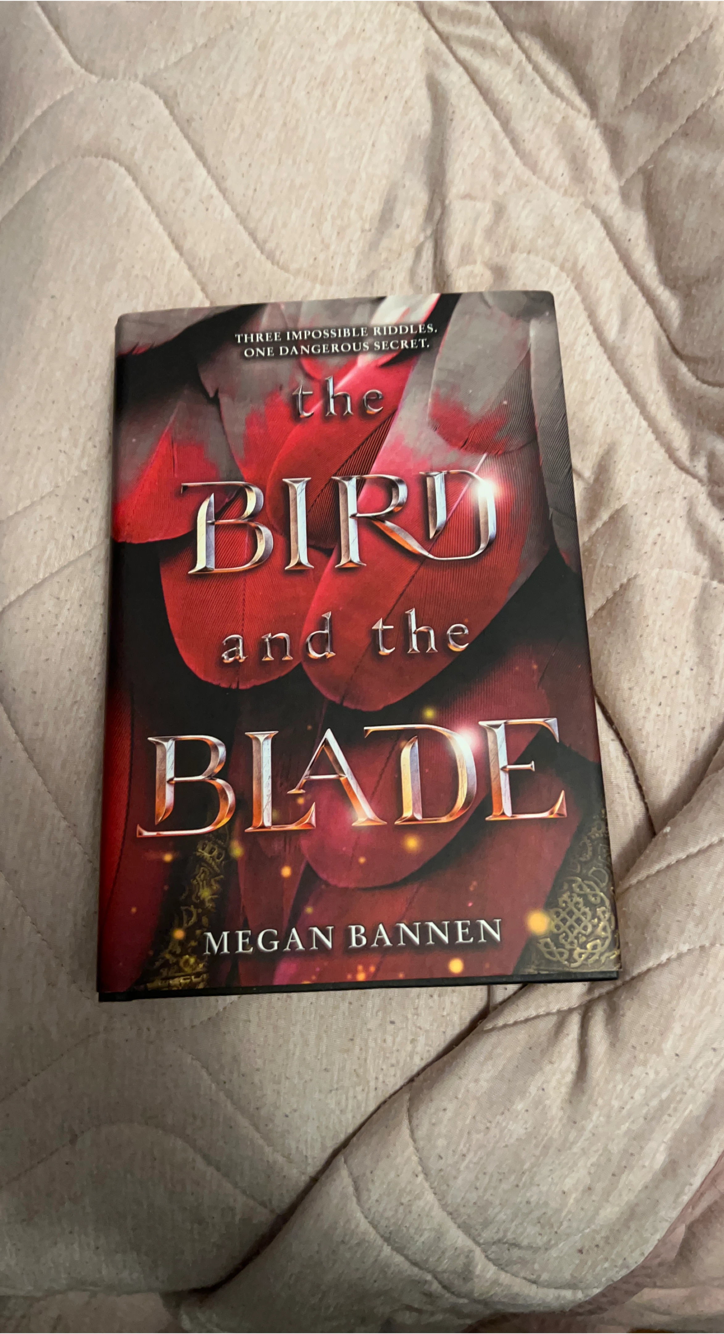 The Bird and the Blade by Megan Bannen