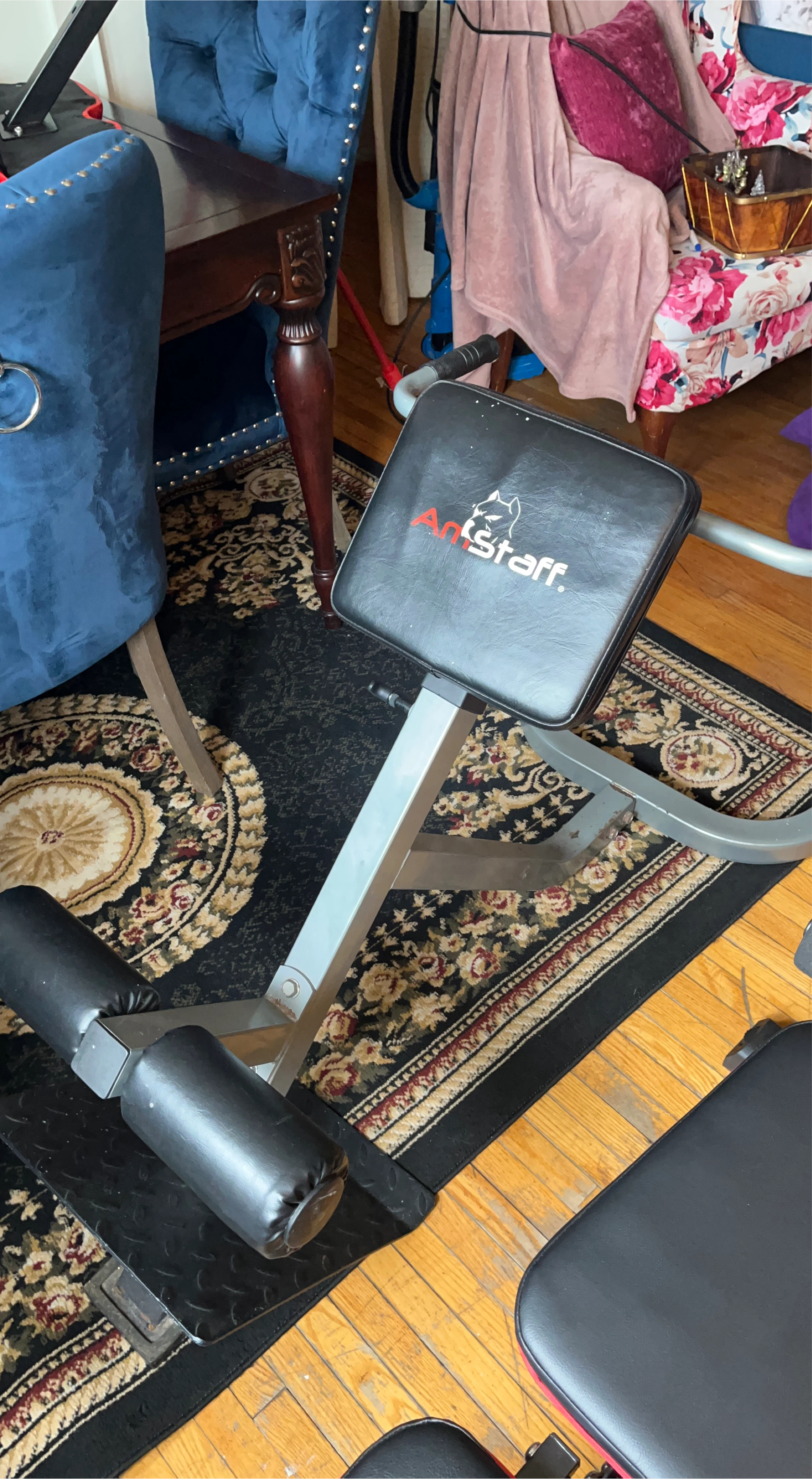 AmStaff Back/Hyper Extension Roman Chair