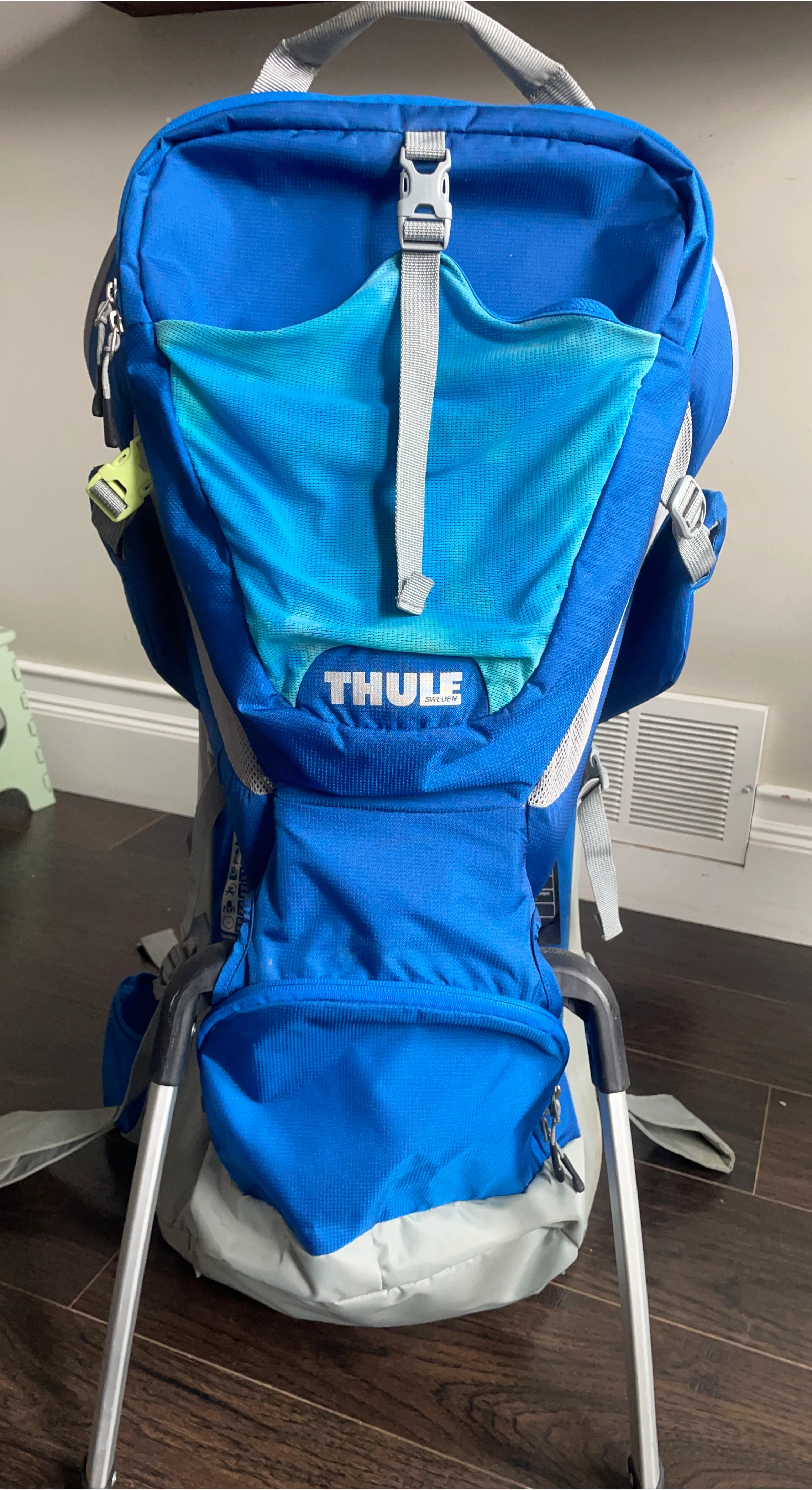Thule Sapling Child Carrier Backpack
