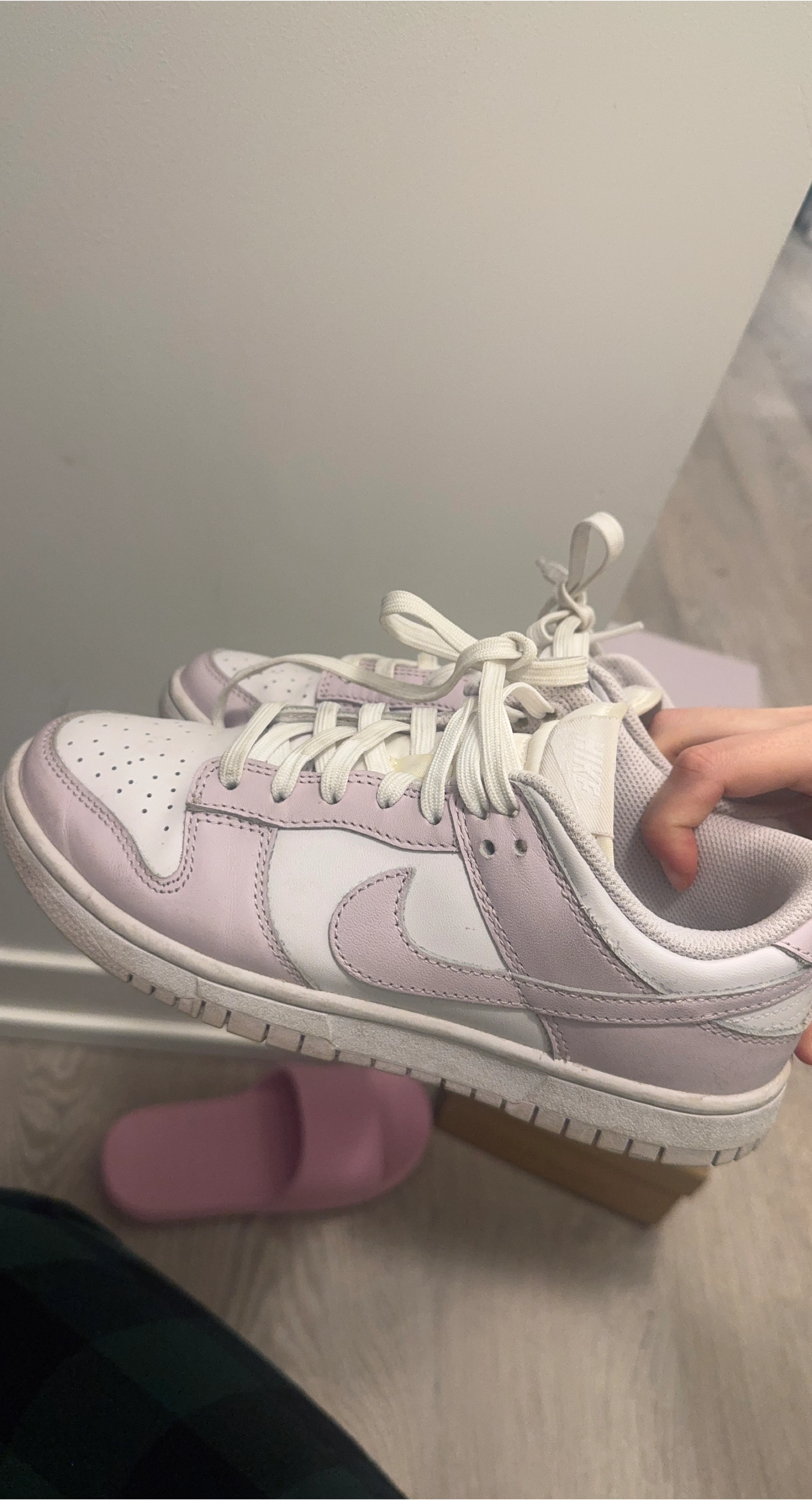 Nike Dunk Low Women's Shoes