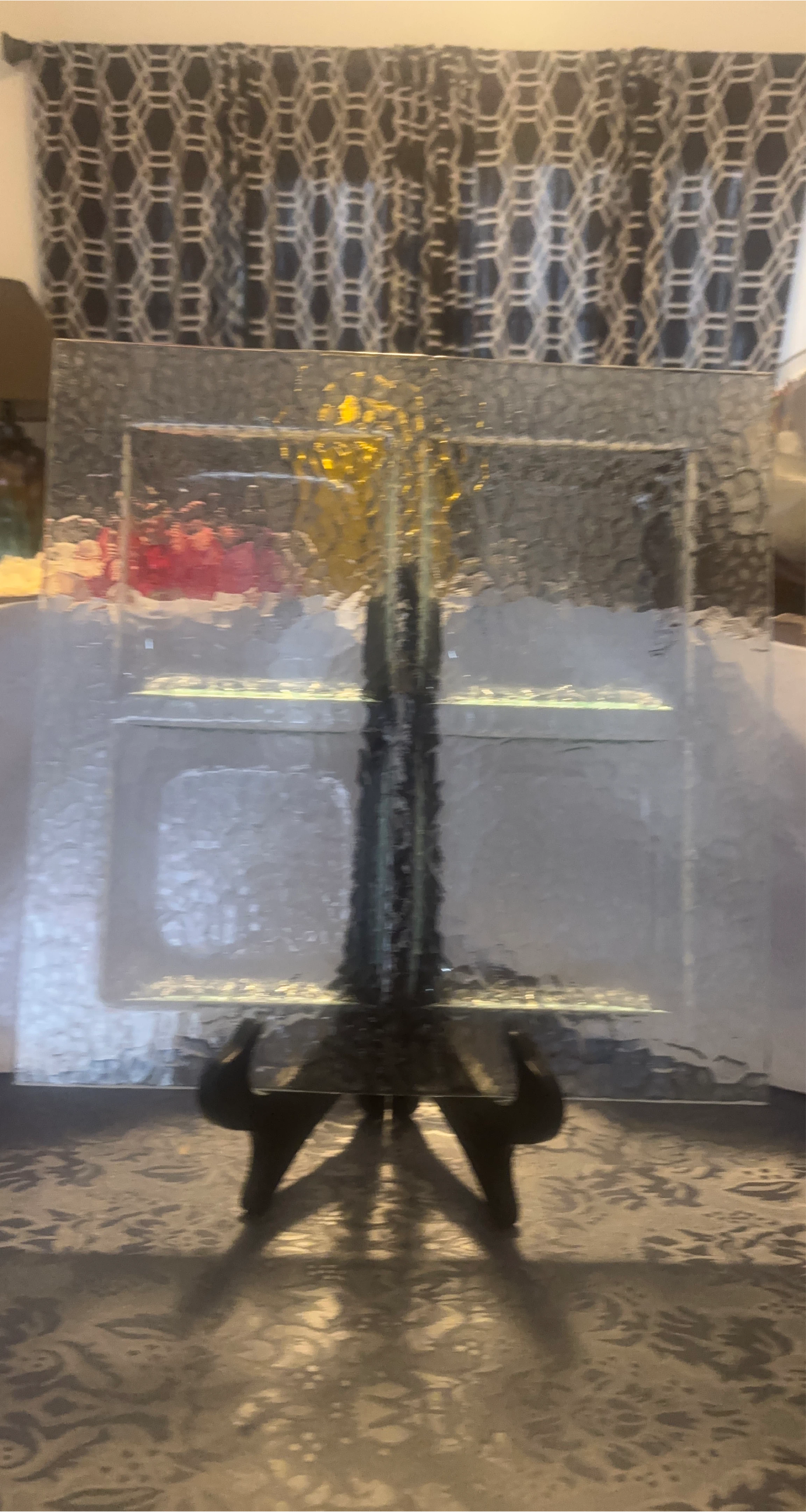 Glass Divided Serving Platter