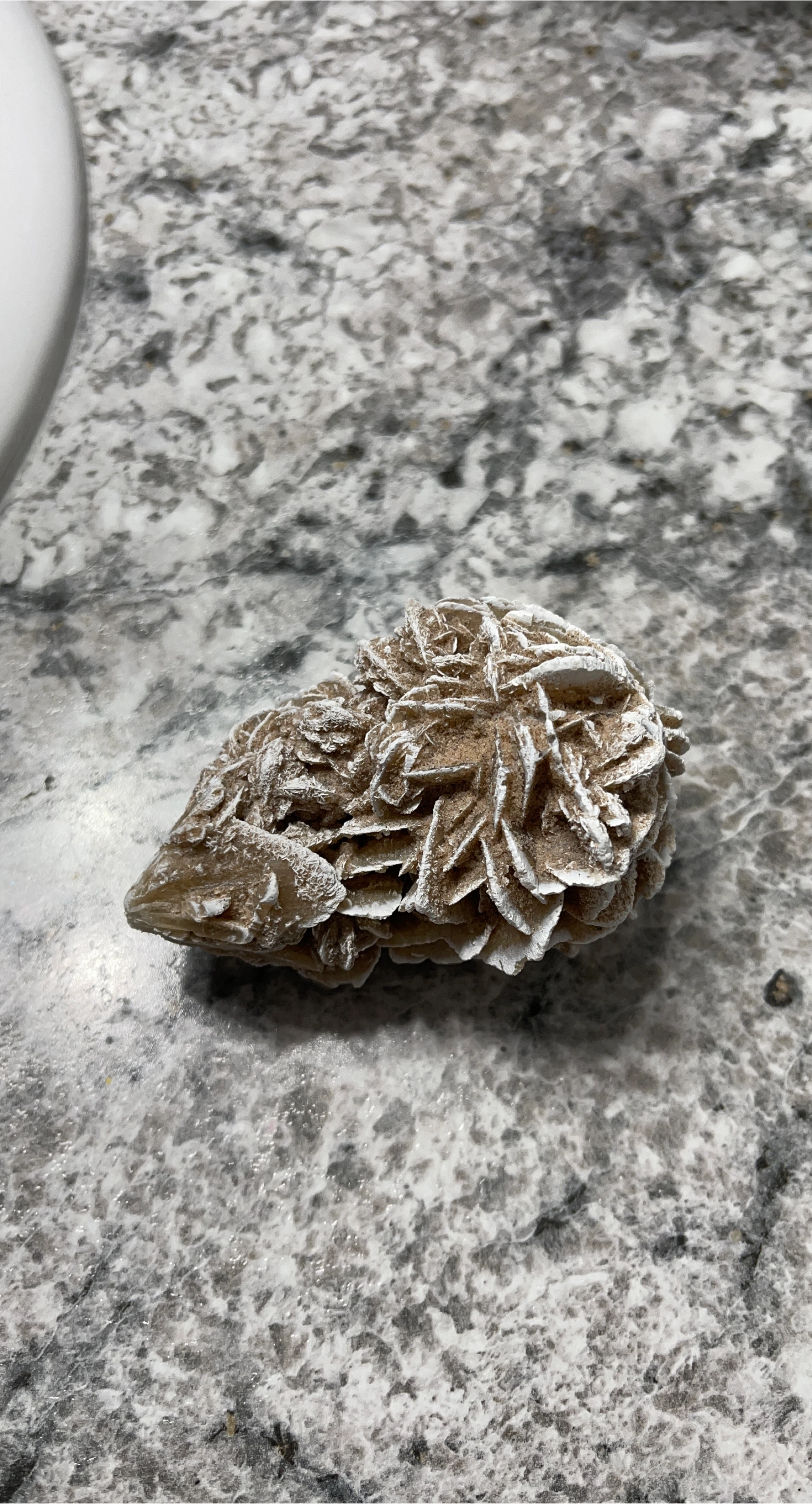 Desert Rose Selenite Crystal