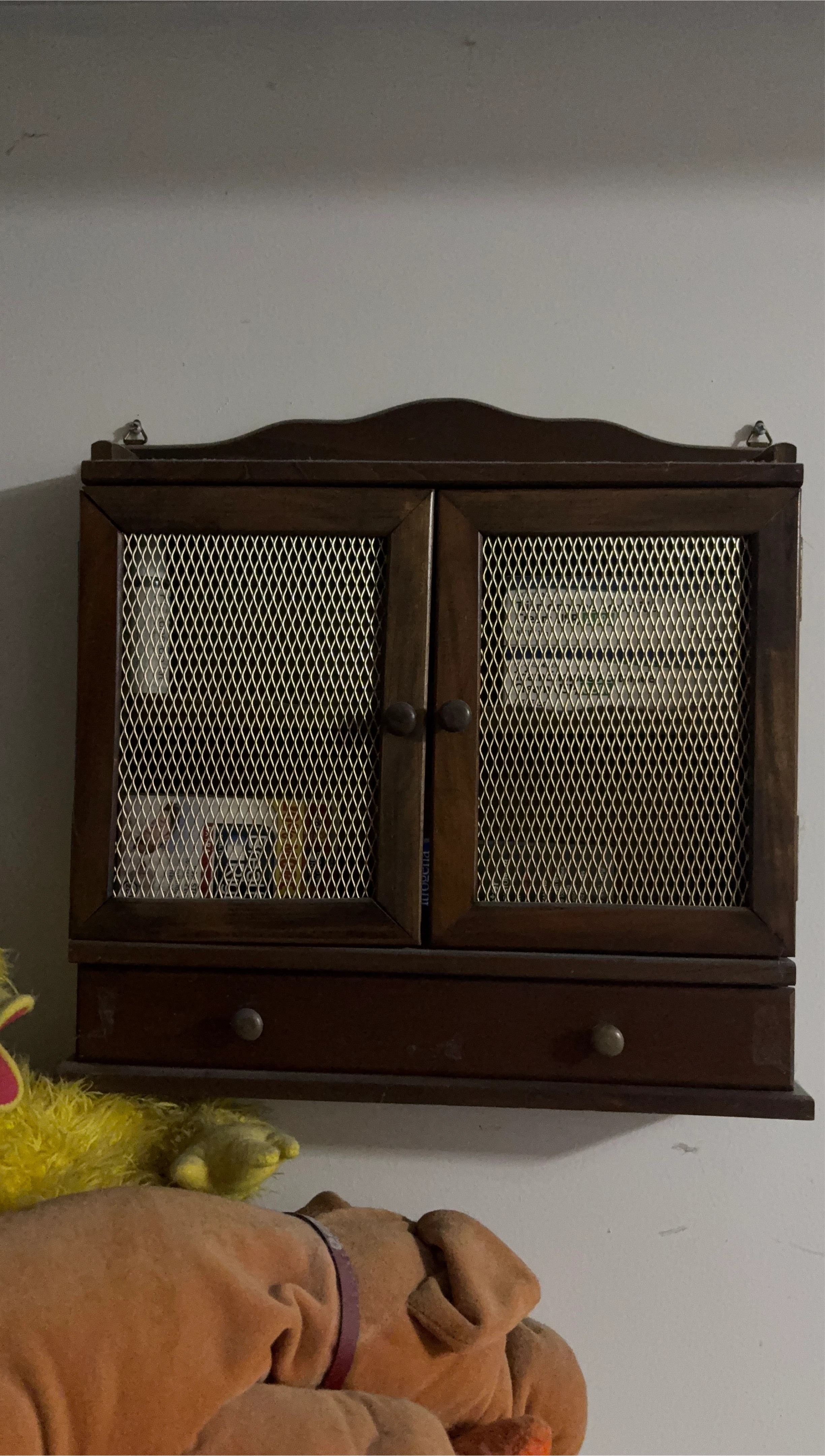 Wooden Wall Cabinet with Mesh Doors
