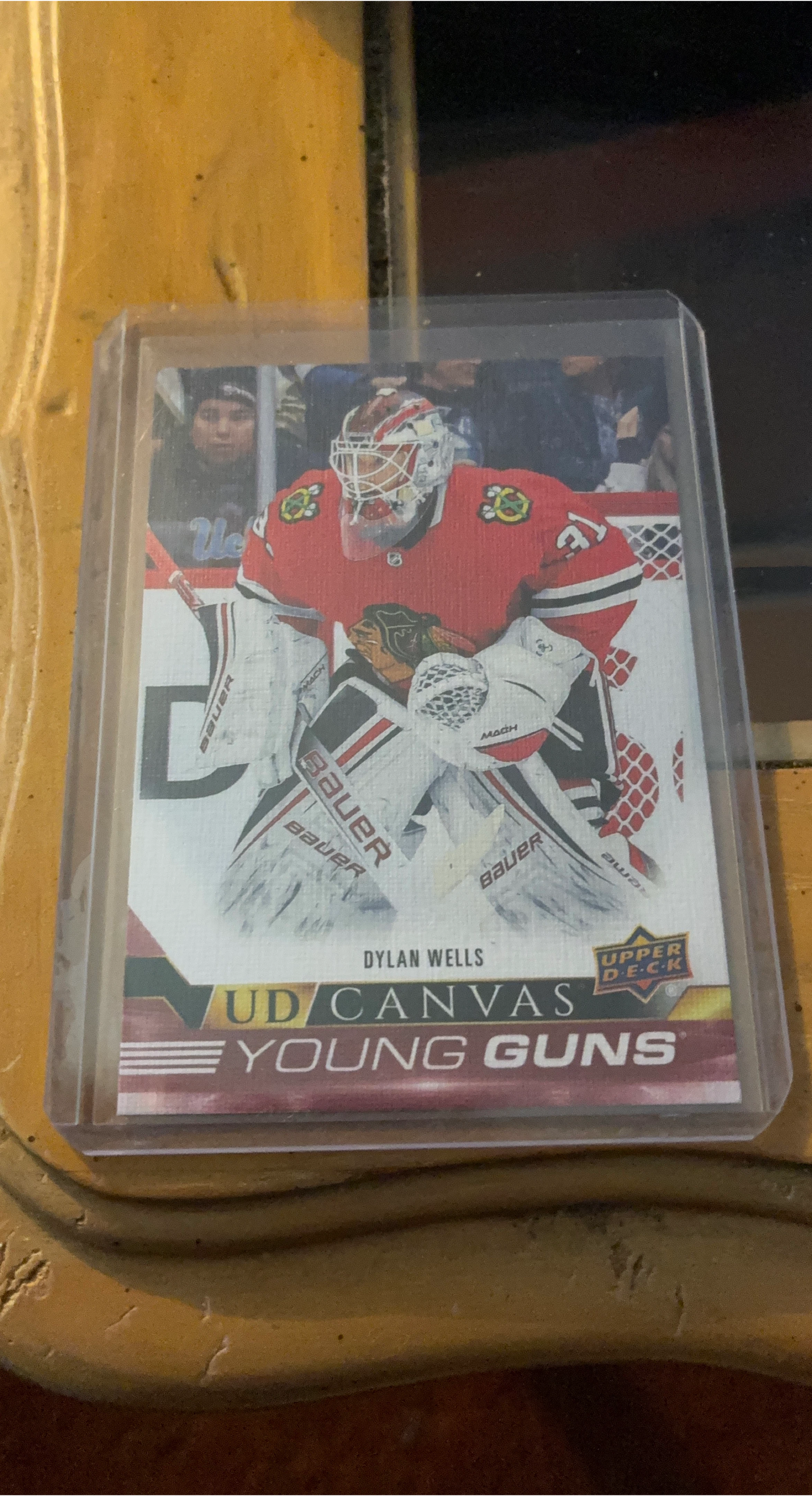 Upper Deck UD Canvas Young Guns Dylan Wells Hockey Card