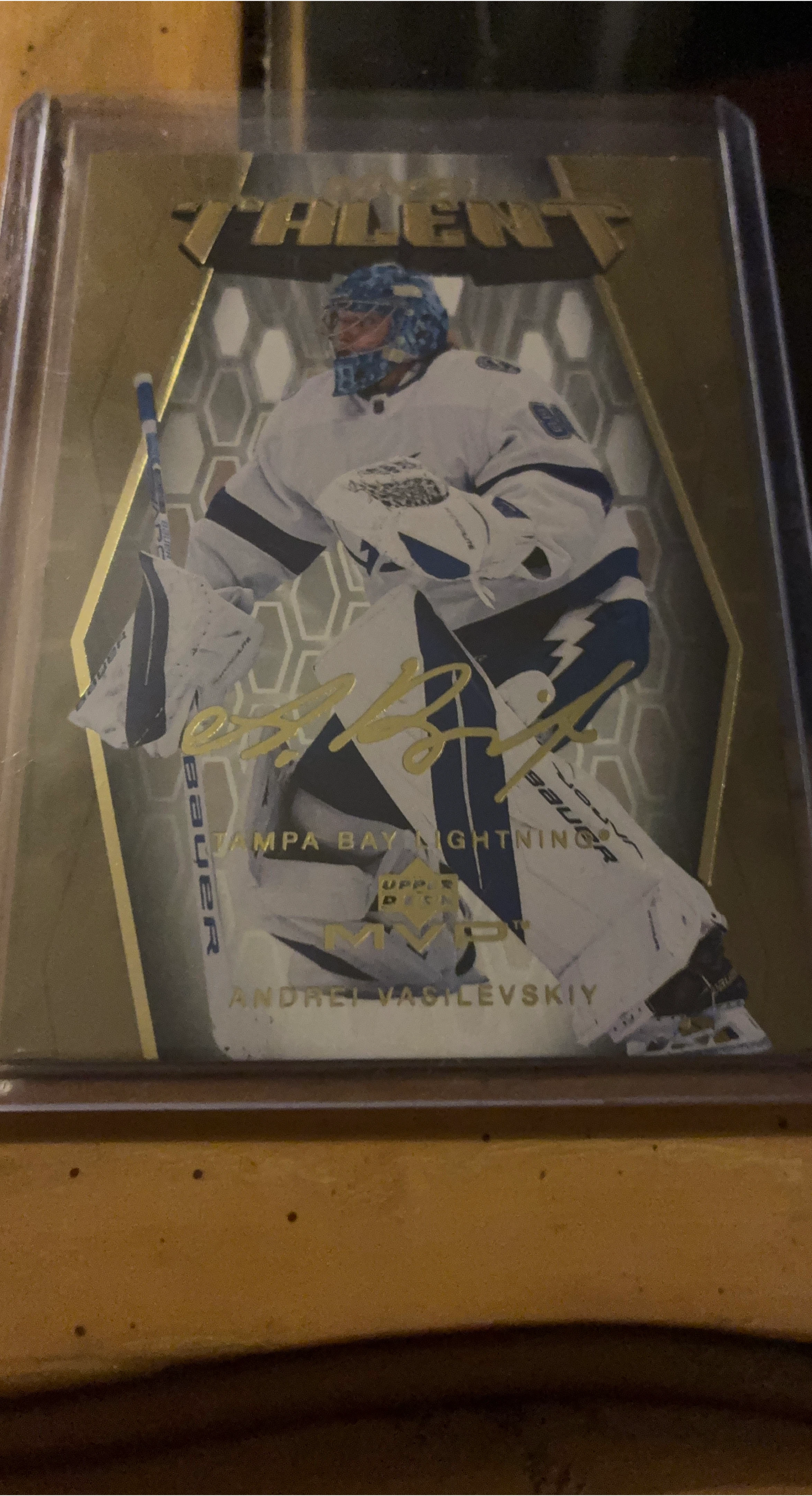 Andrei Vasilevskiy Tampa Bay Lightning Hockey Card