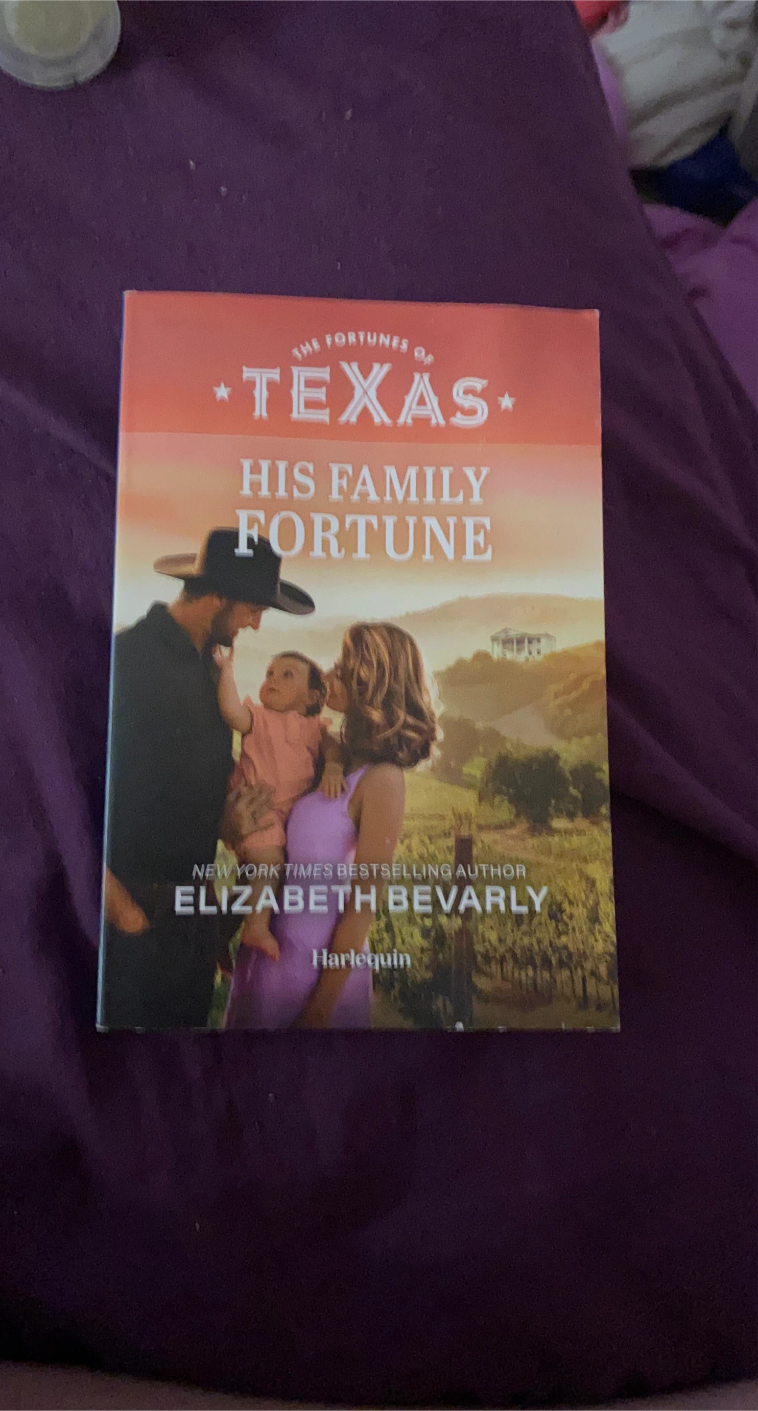 The Fortunes of Texas: His Family Fortune by Elizabeth Bevarly