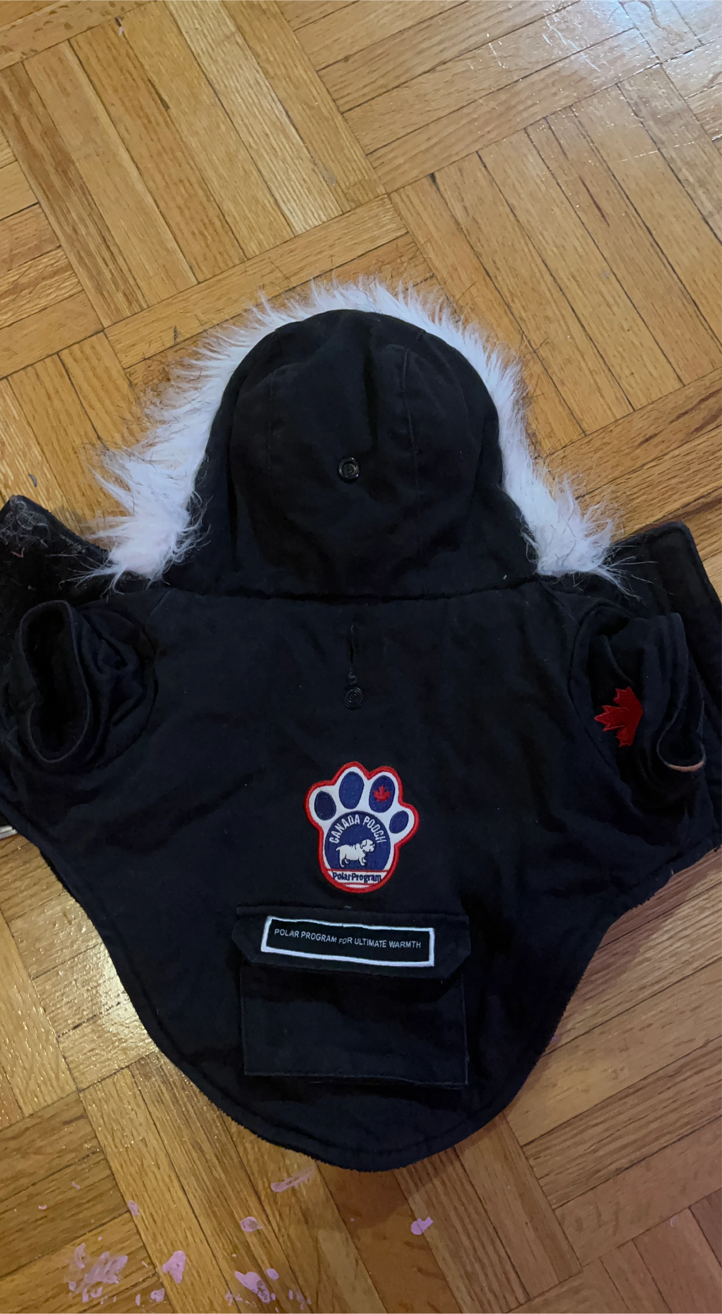 Canada Pooch Black Polar Program Dog Jacket