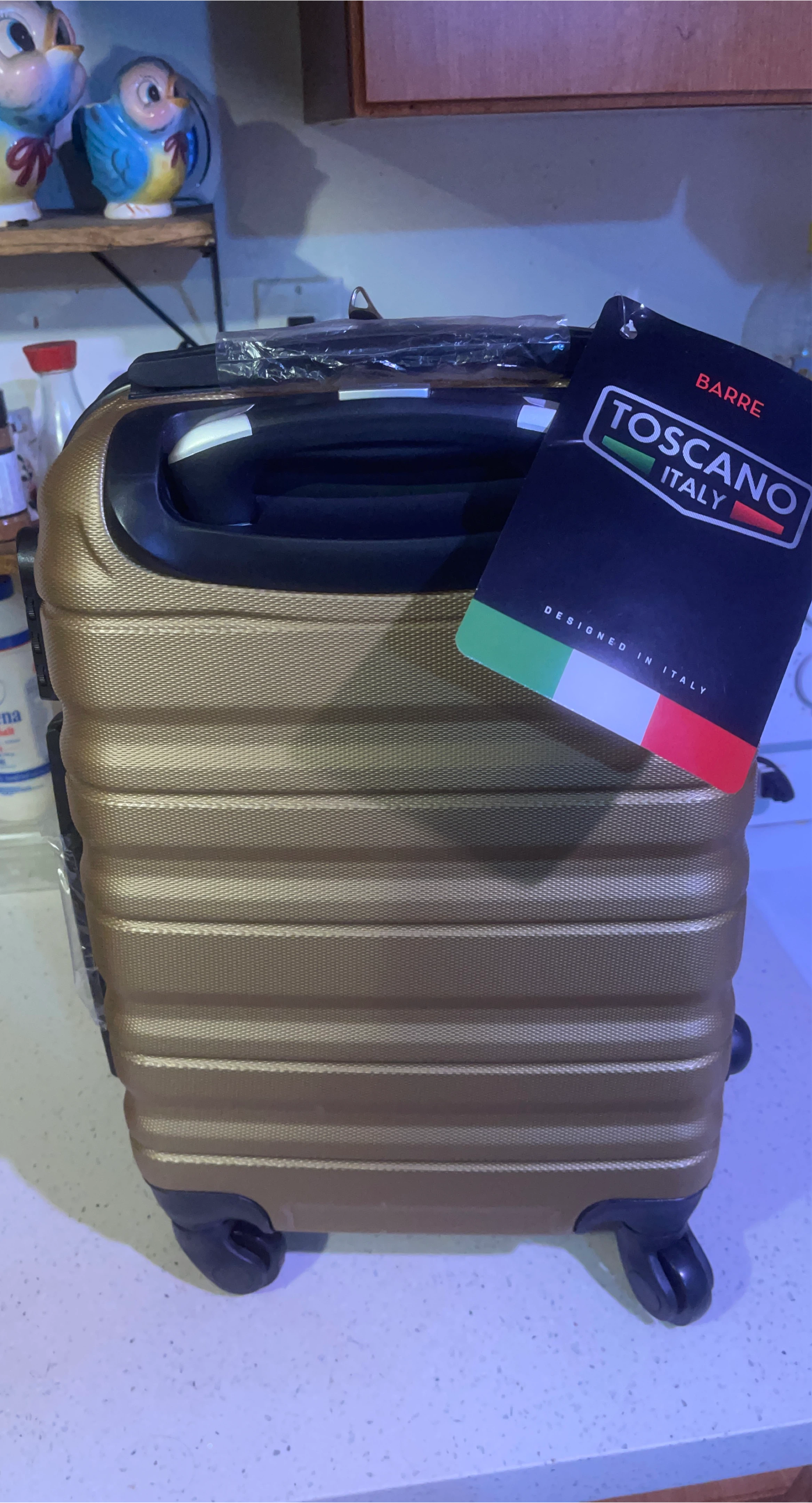 Barre Toscano Italy Gold Suitcase