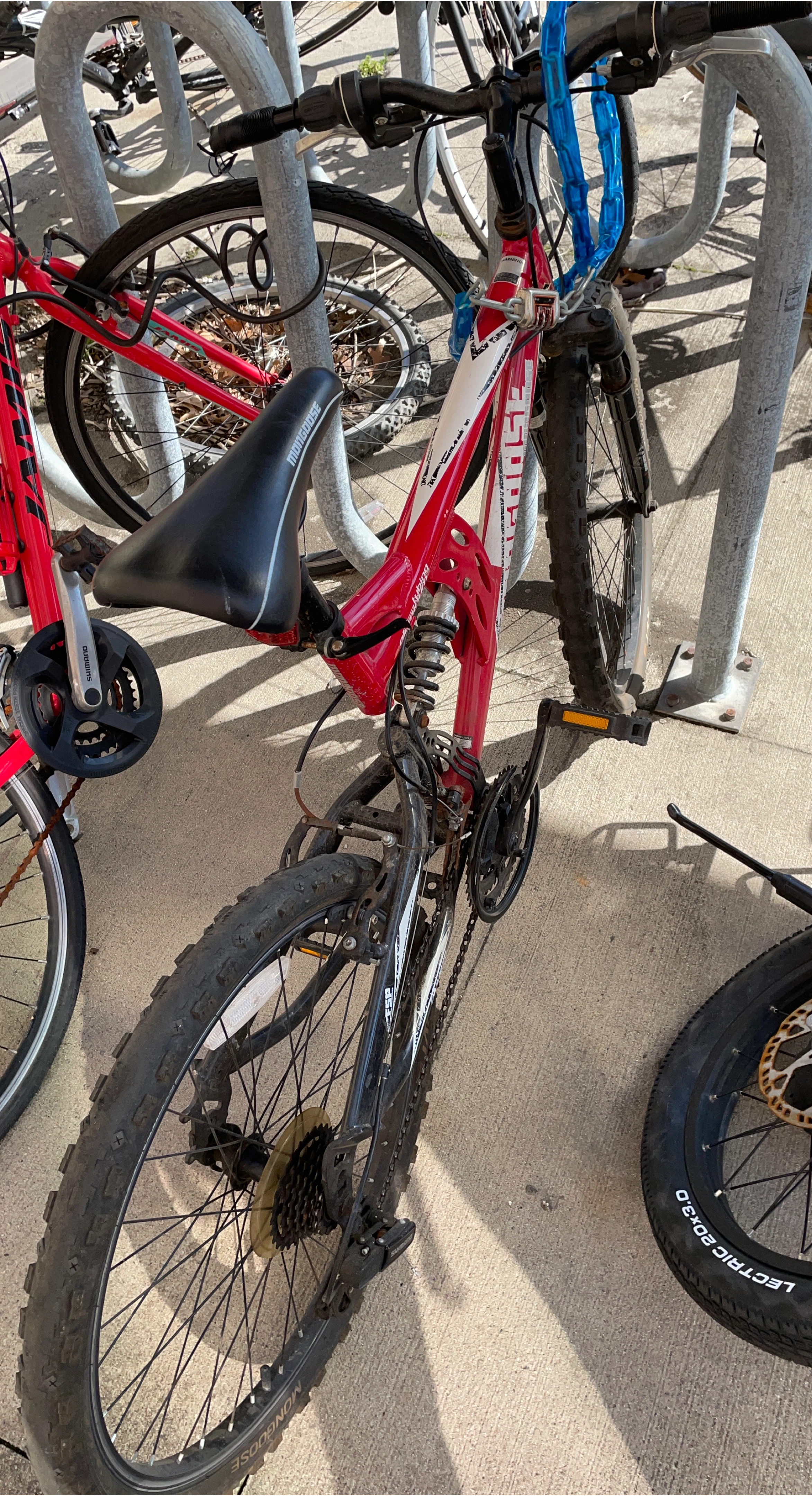 Mongoose Mountain Bike