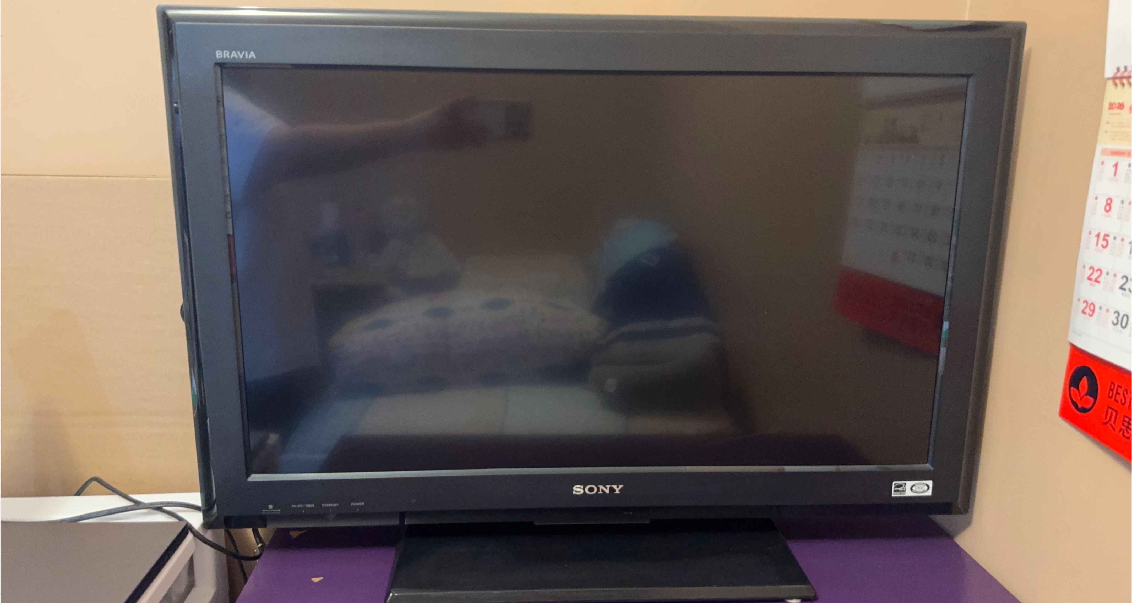Sony Bravia TV