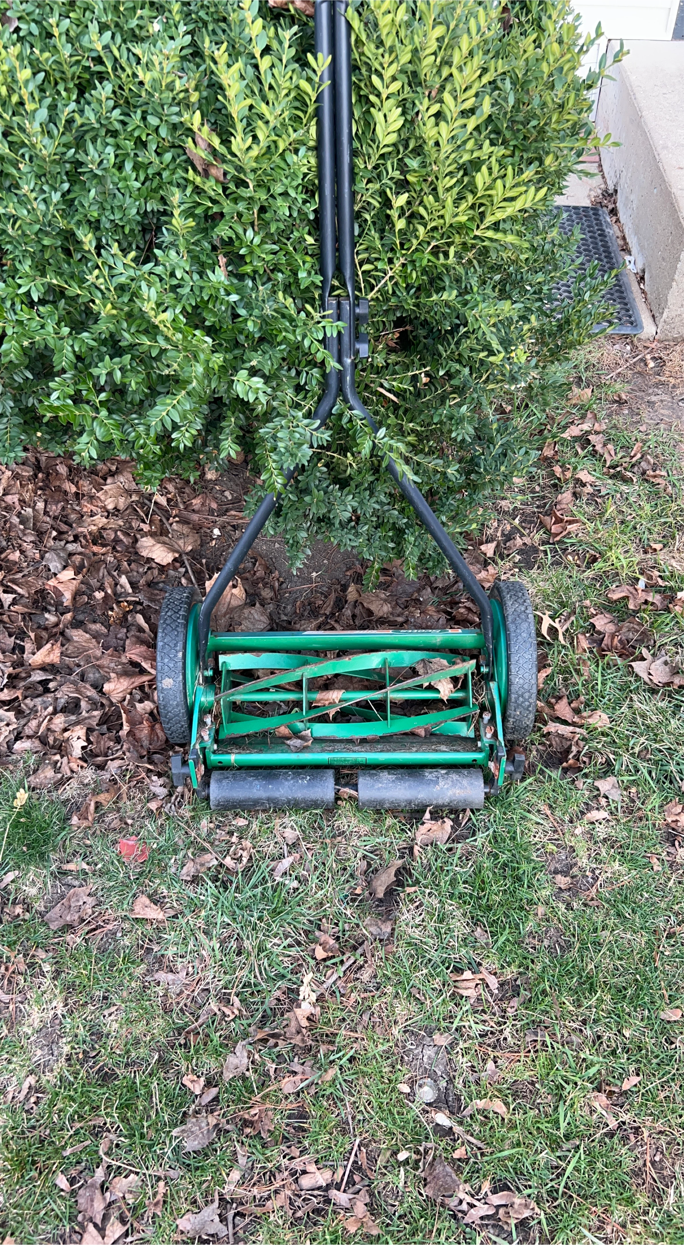 Scotts Reel Mower