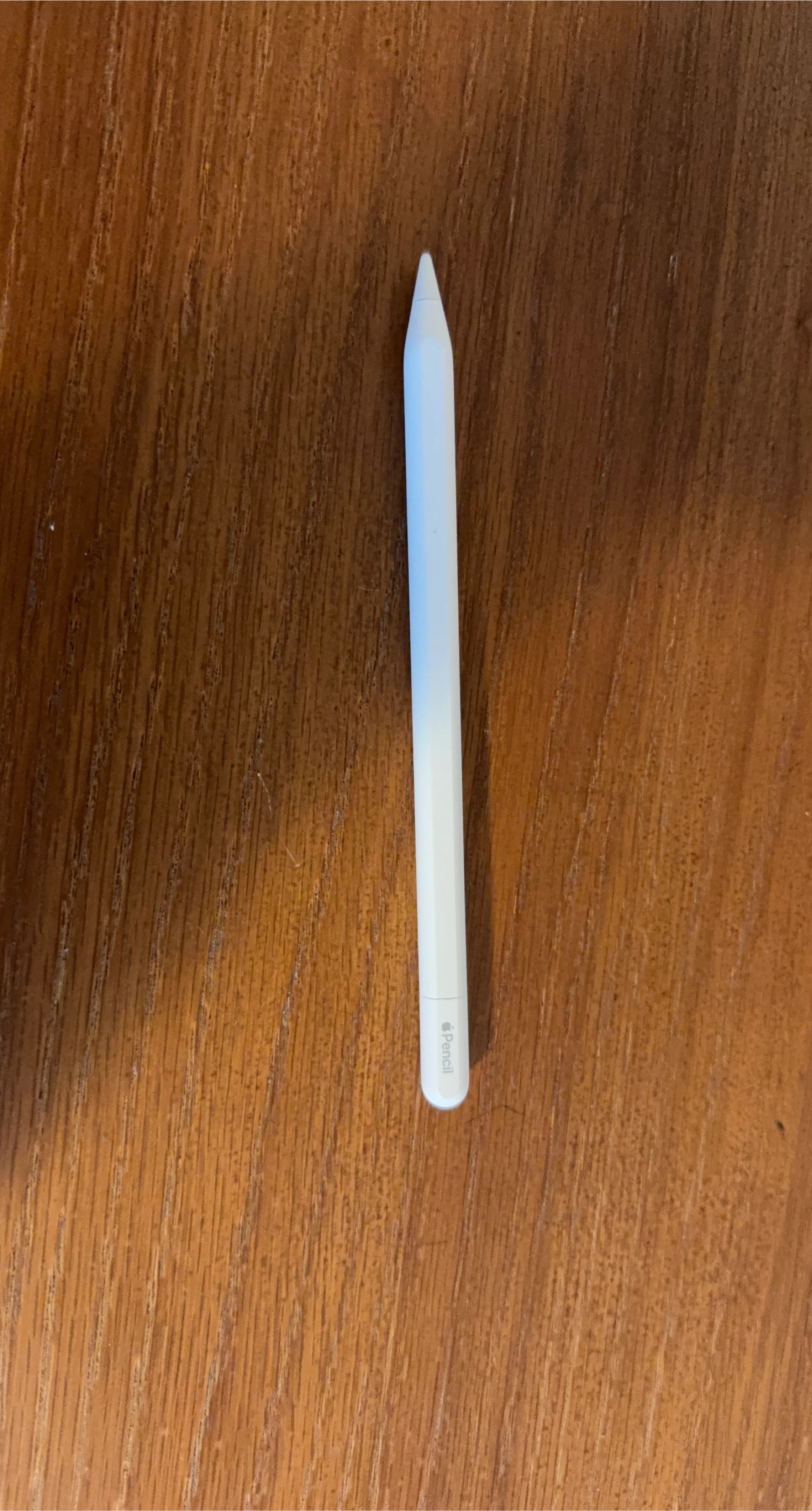 Apple Pencil (USB-C)