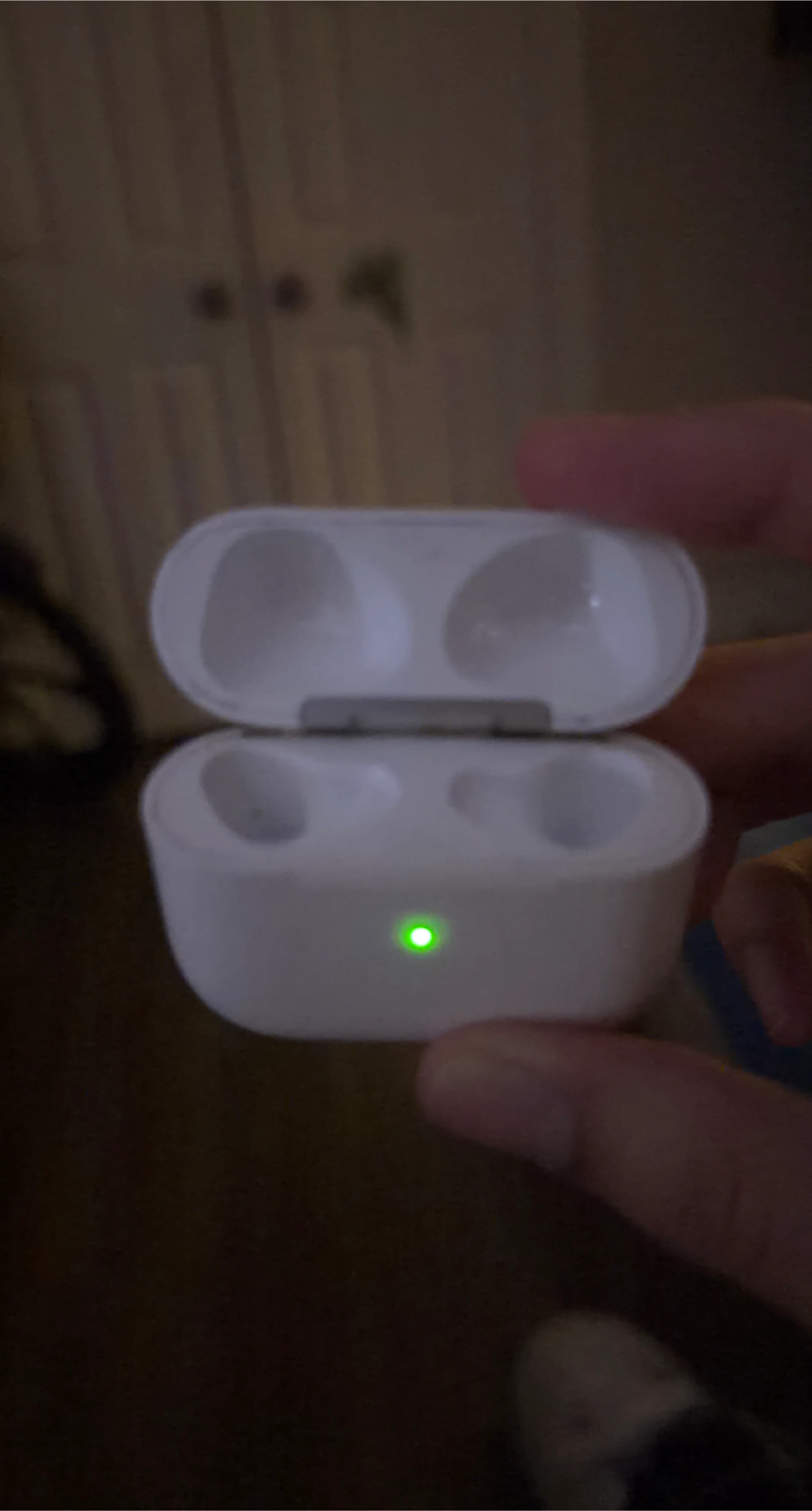 Apple AirPods Pro Charging Case (A2031)