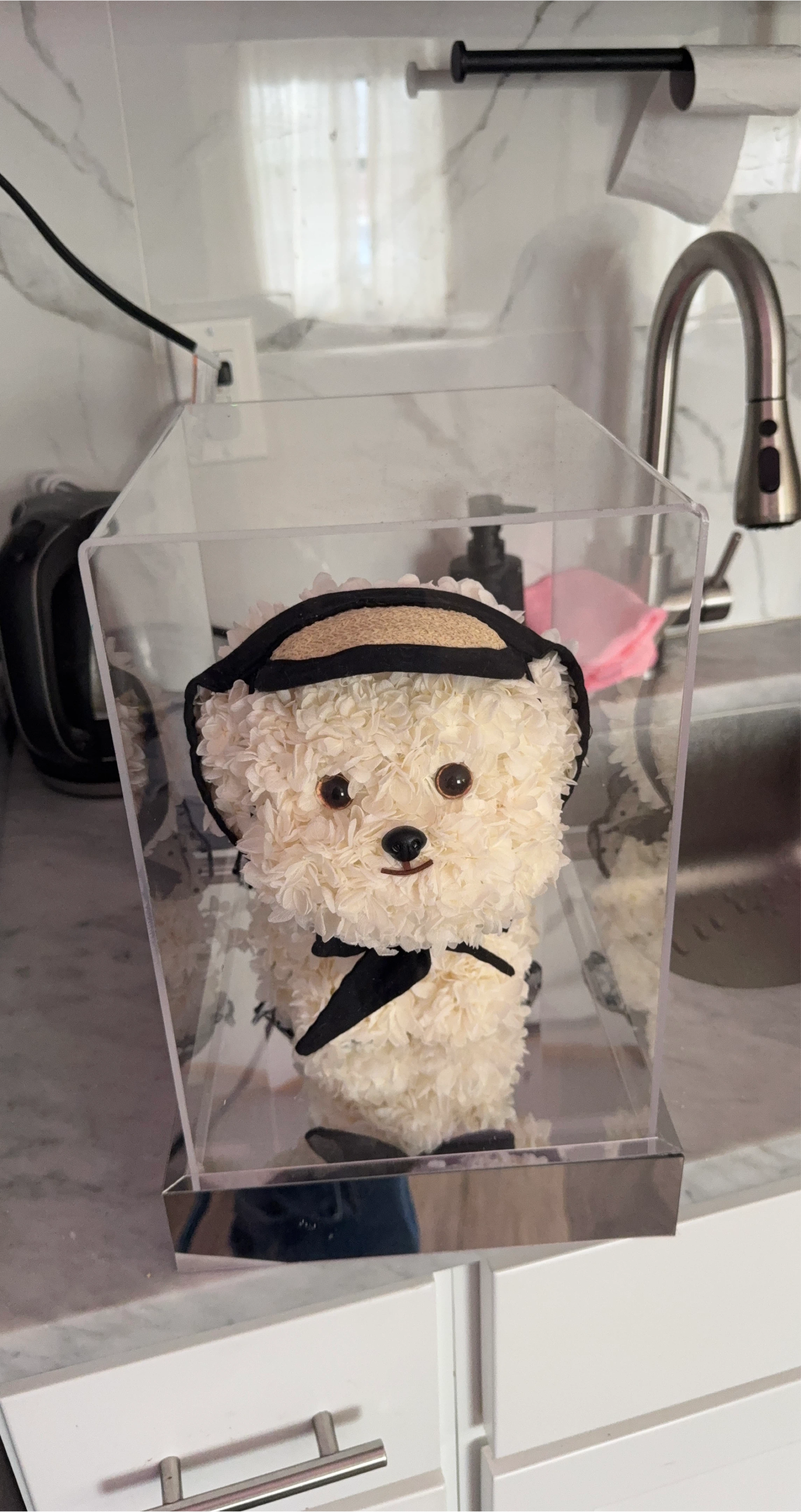 White Flower Teddy Bear in Clear Display Case