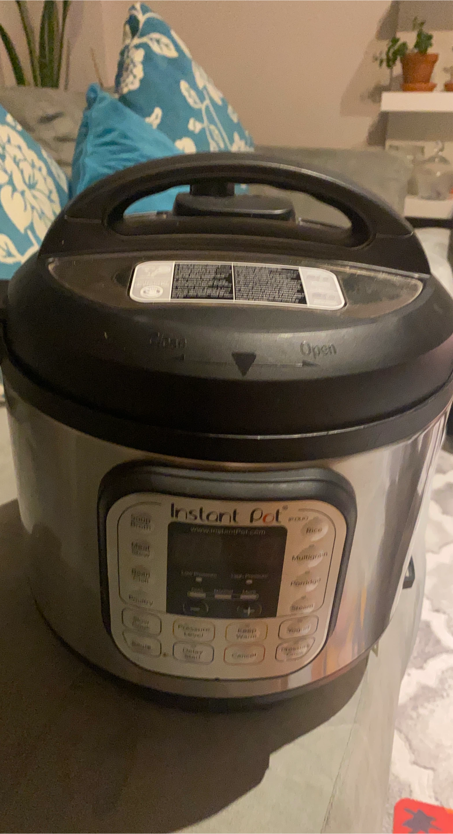 Instant Pot Duo 7-in-1 Electric Pressure Cooker