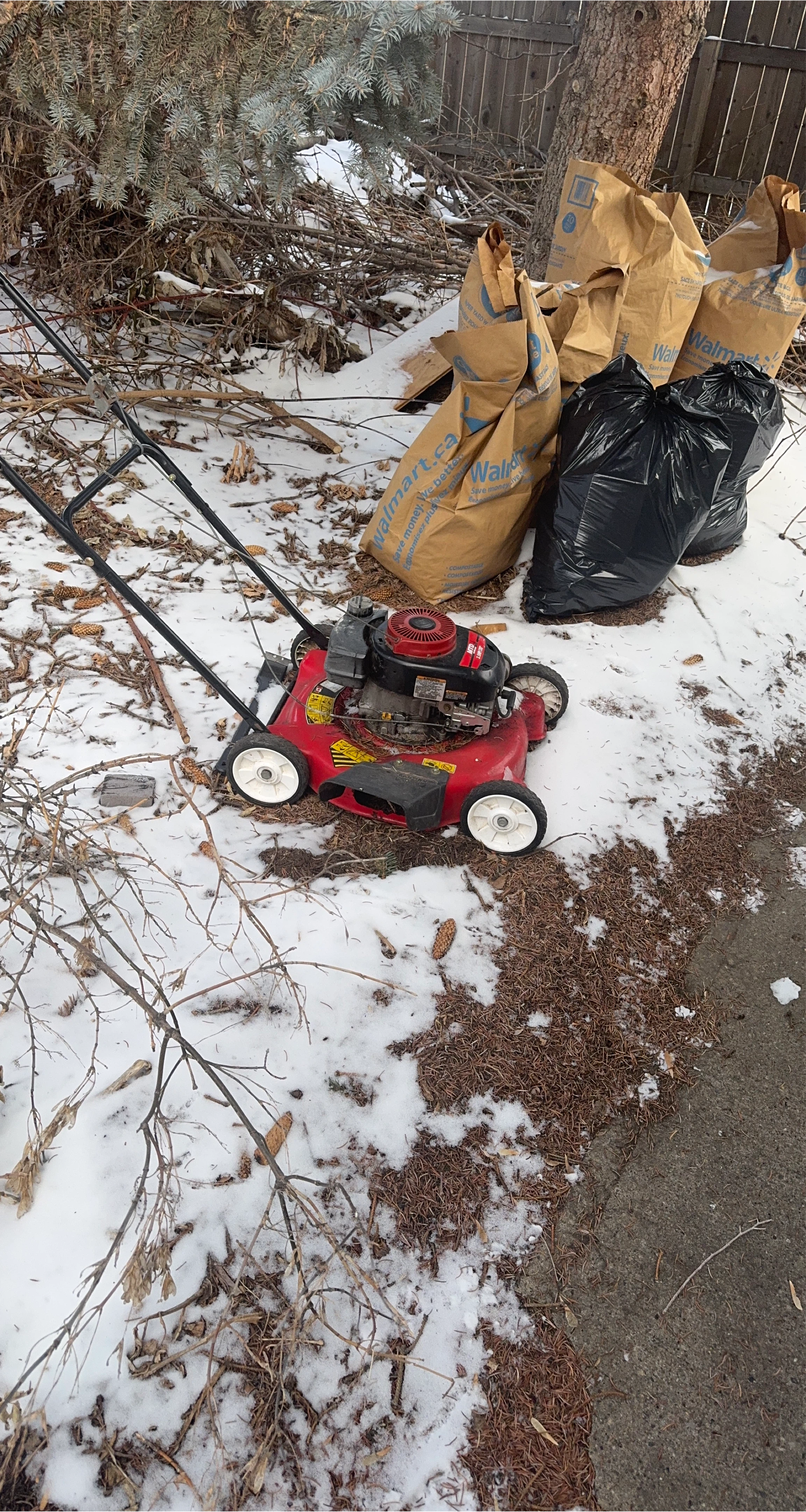 MTD Rotary Lawn Mower