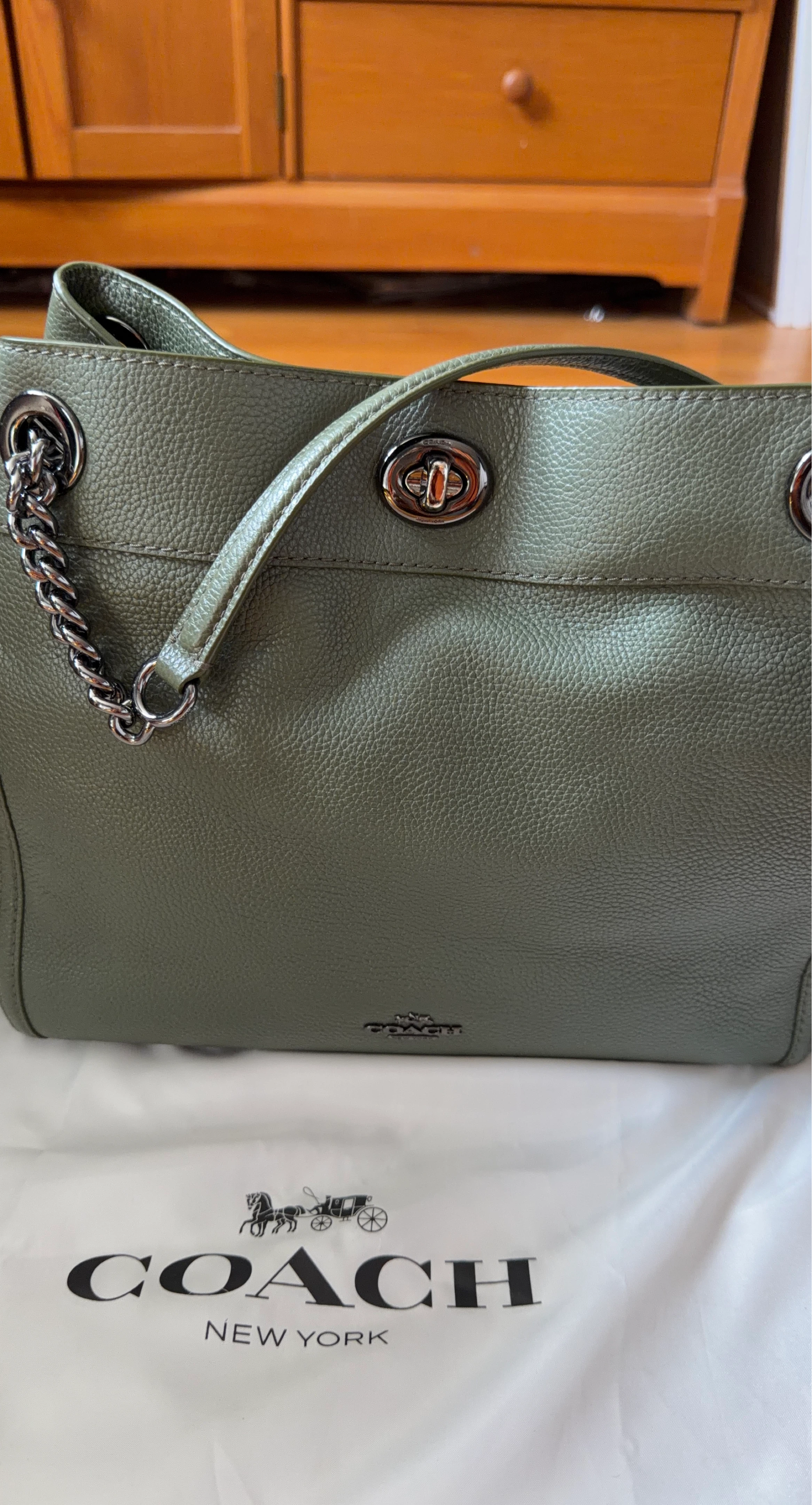 Coach Leather Tote Bag - Olive Green
