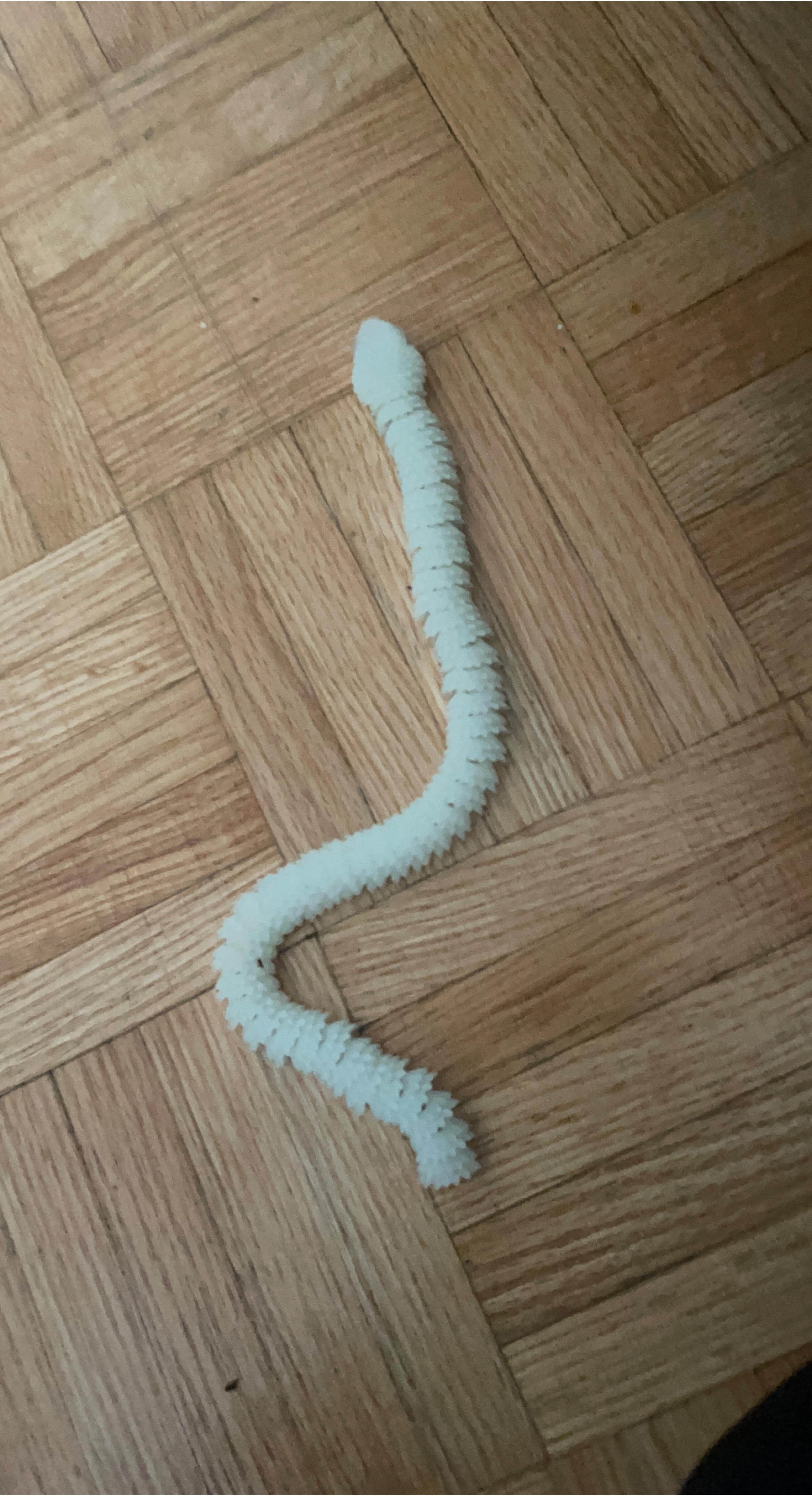 White Segmented Snake Toy