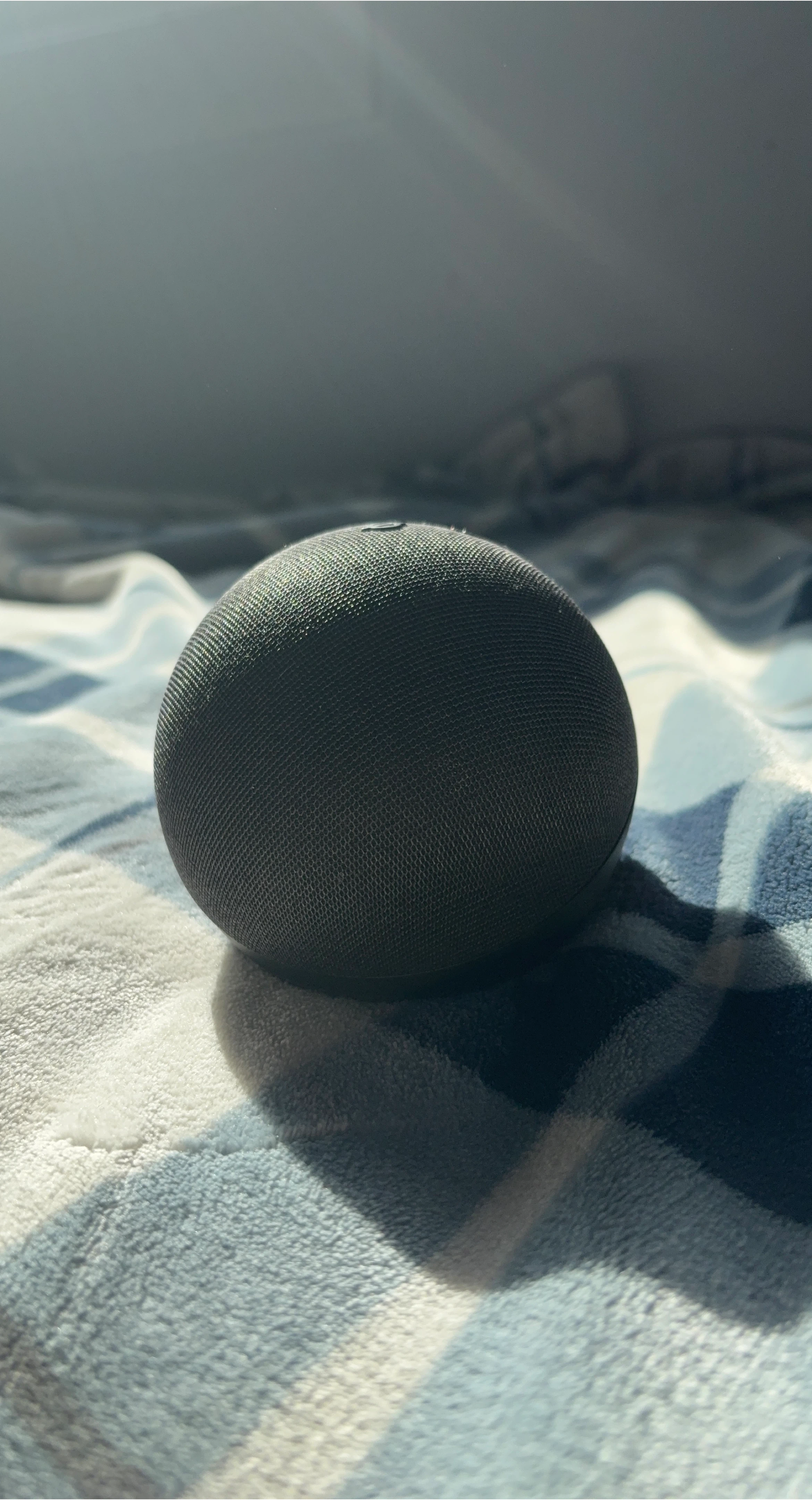 Amazon Echo Dot (4th Gen) Smart Speaker
