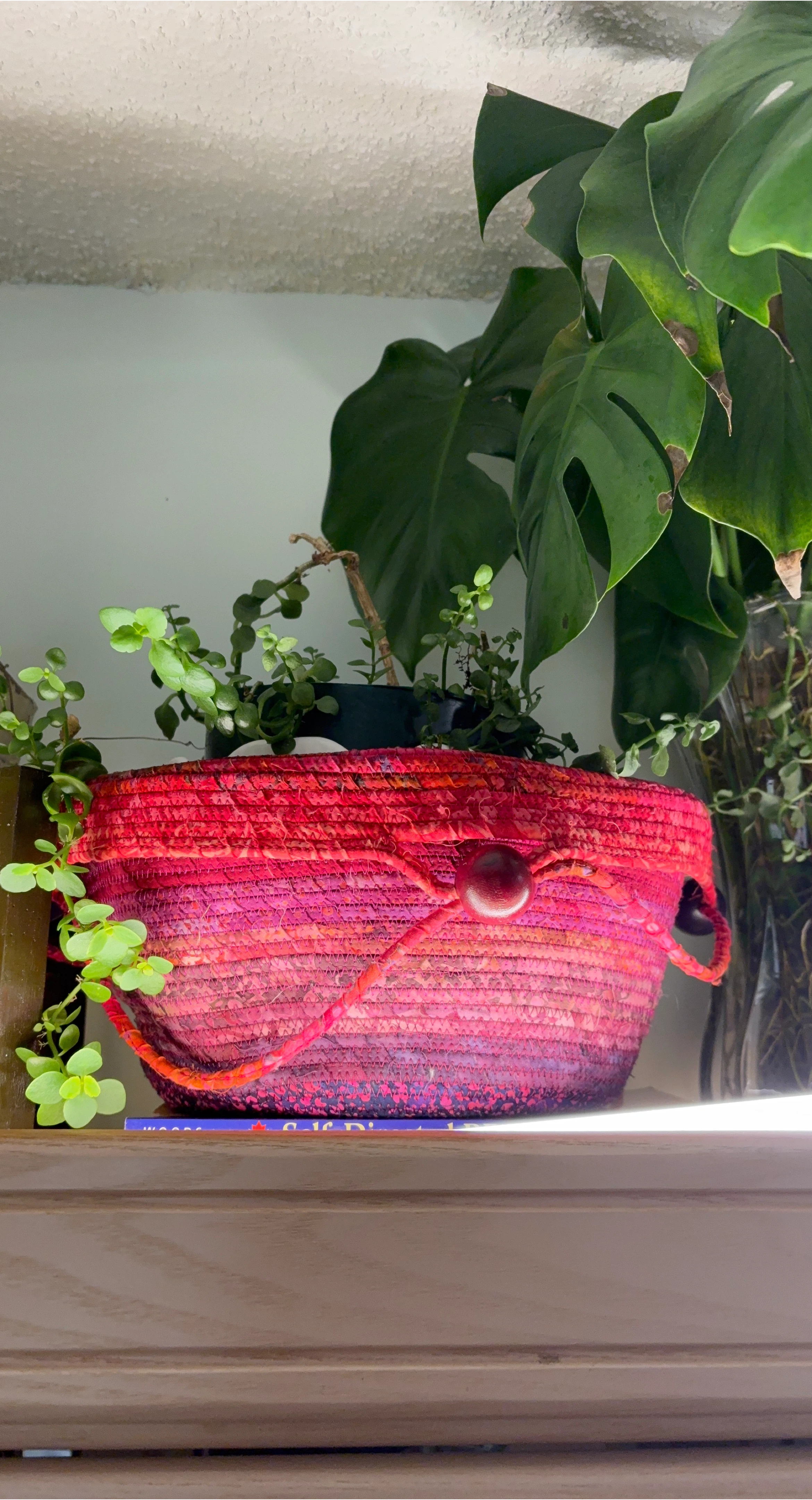 Woven Storage Basket - Red and Pink Ombre - small plant included