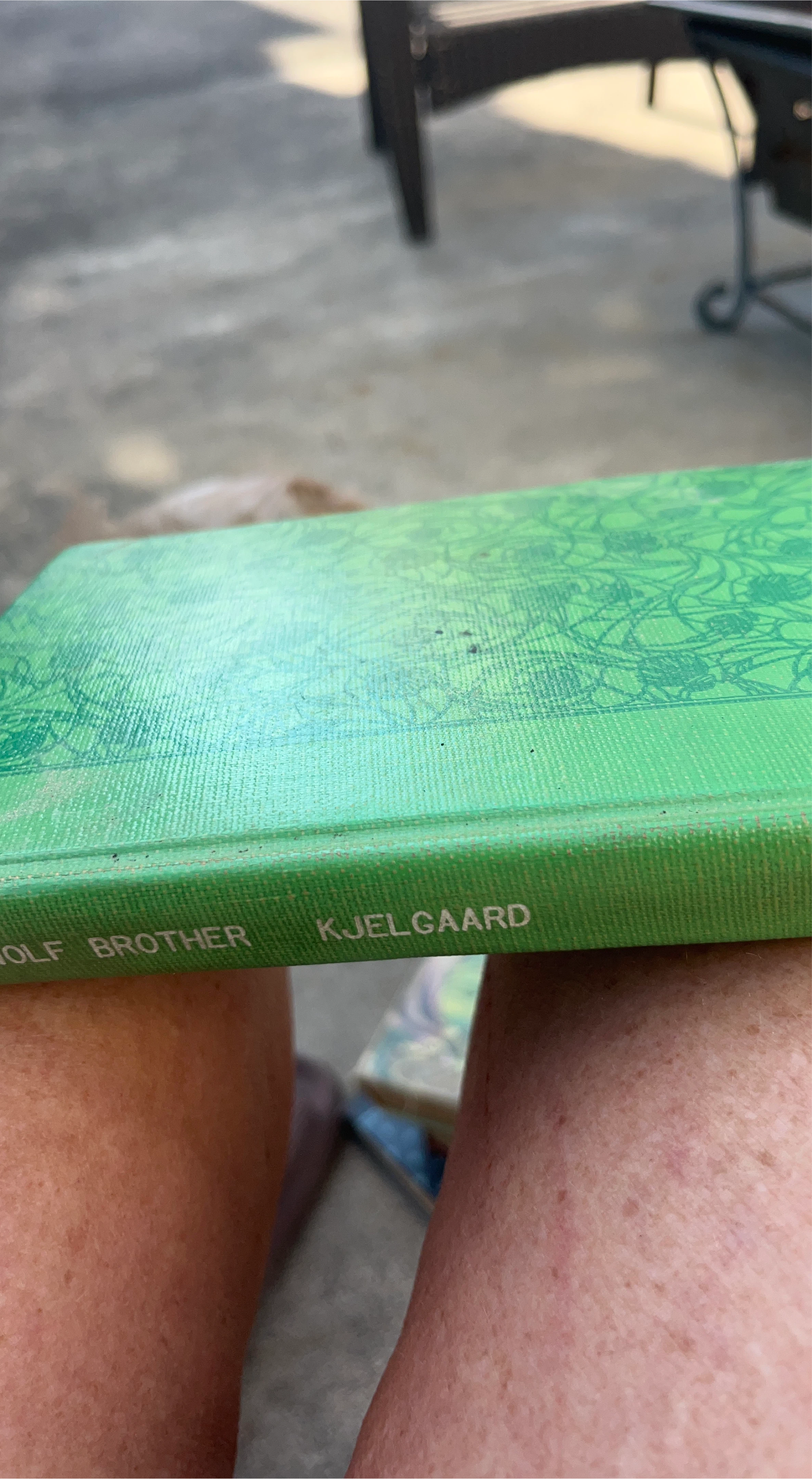 Wolf Brother by Kjelgaard Book