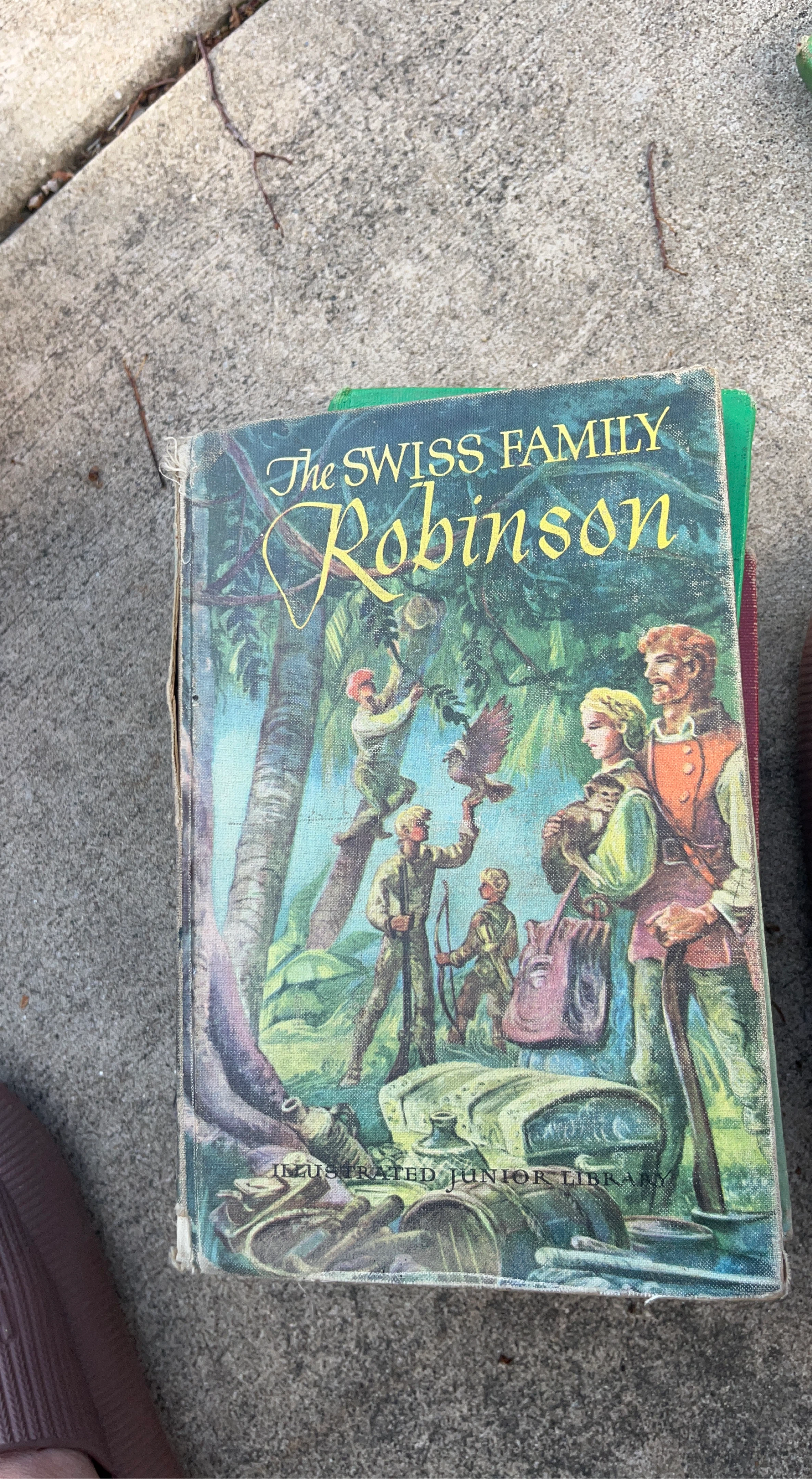 The Swiss Family Robinson Illustrated Junior Library Book
