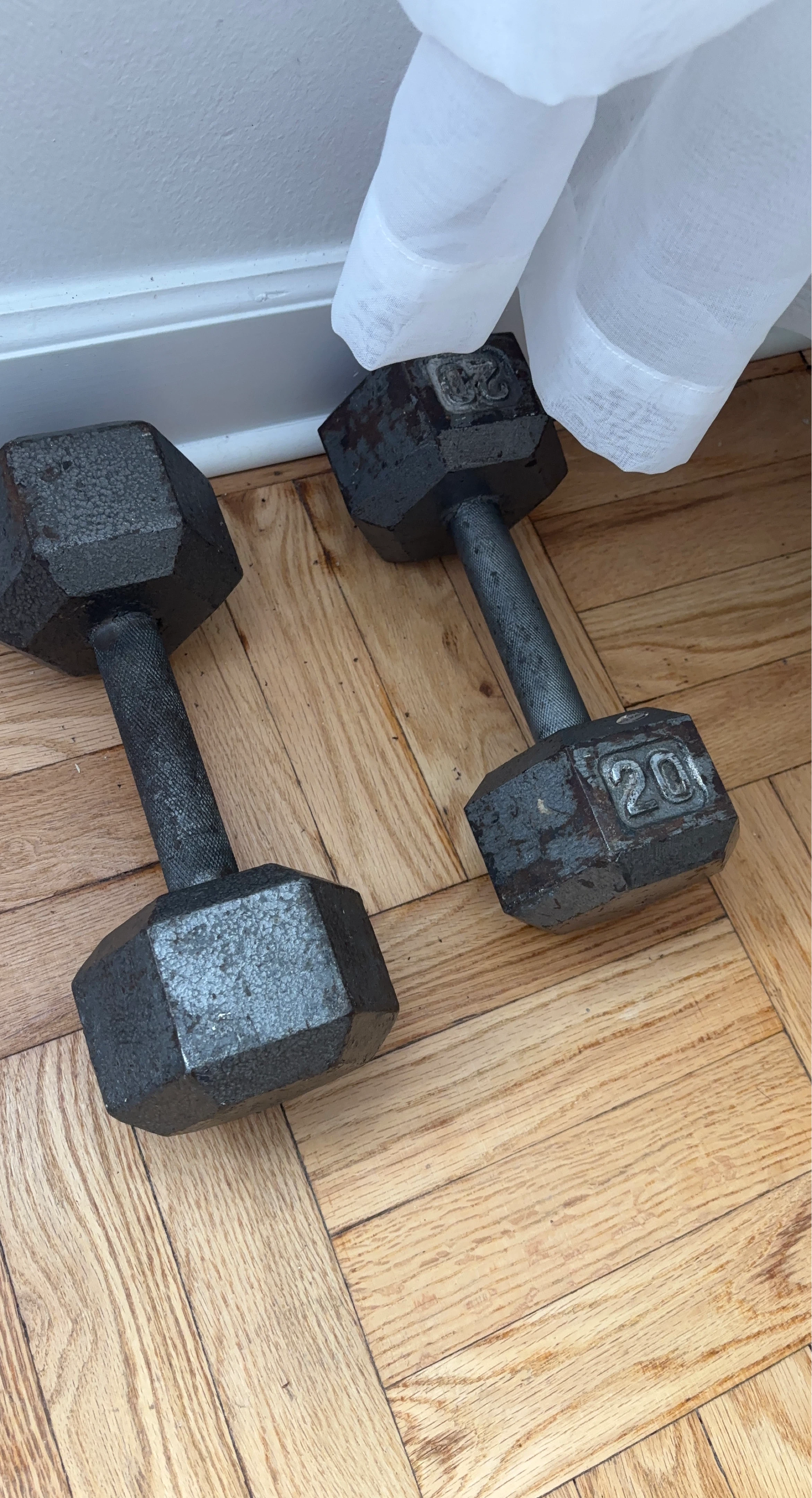 20 lb Hex Dumbbell Pair