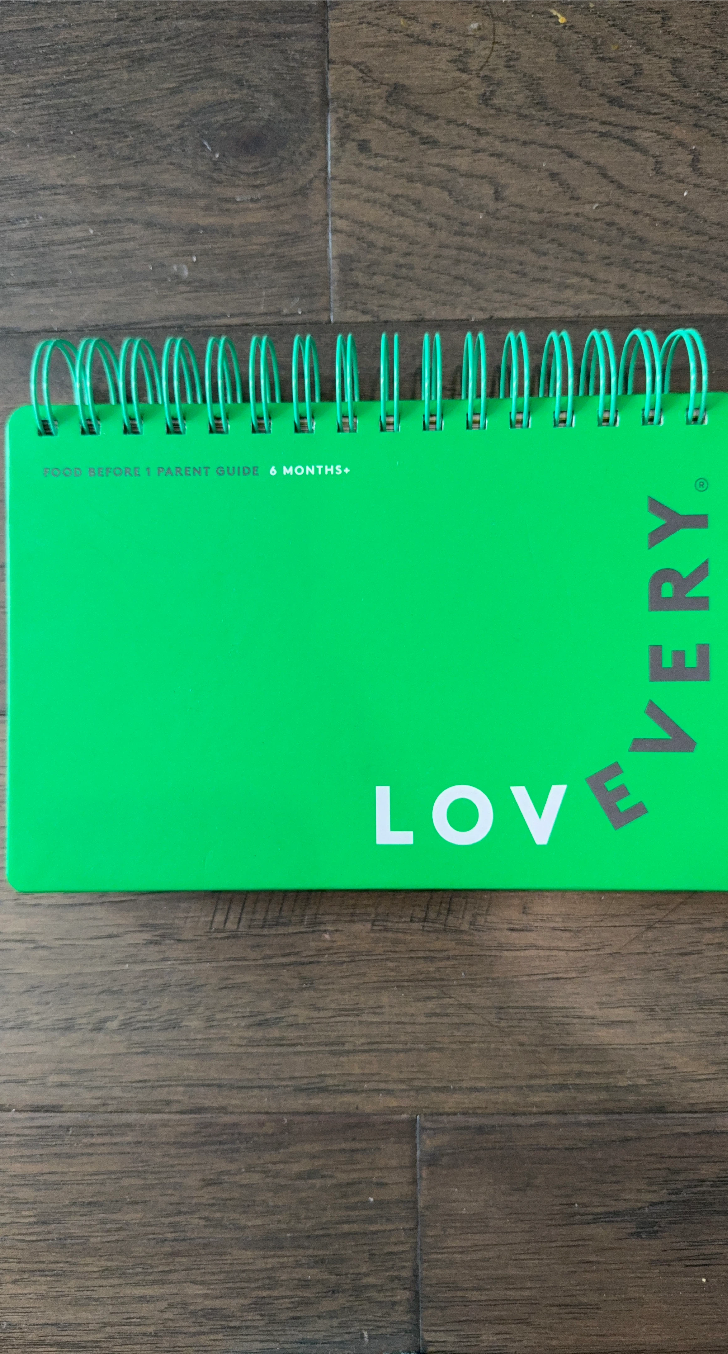 Lovevery Parent Guide for 6 Months+