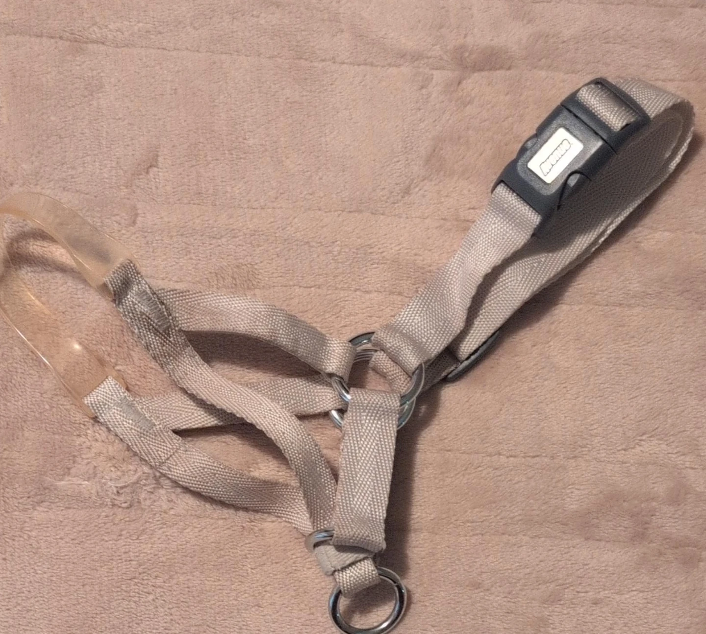 Dog Harness