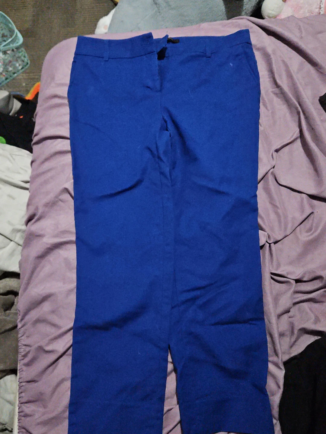 Dalia Blue Pants Size 6
