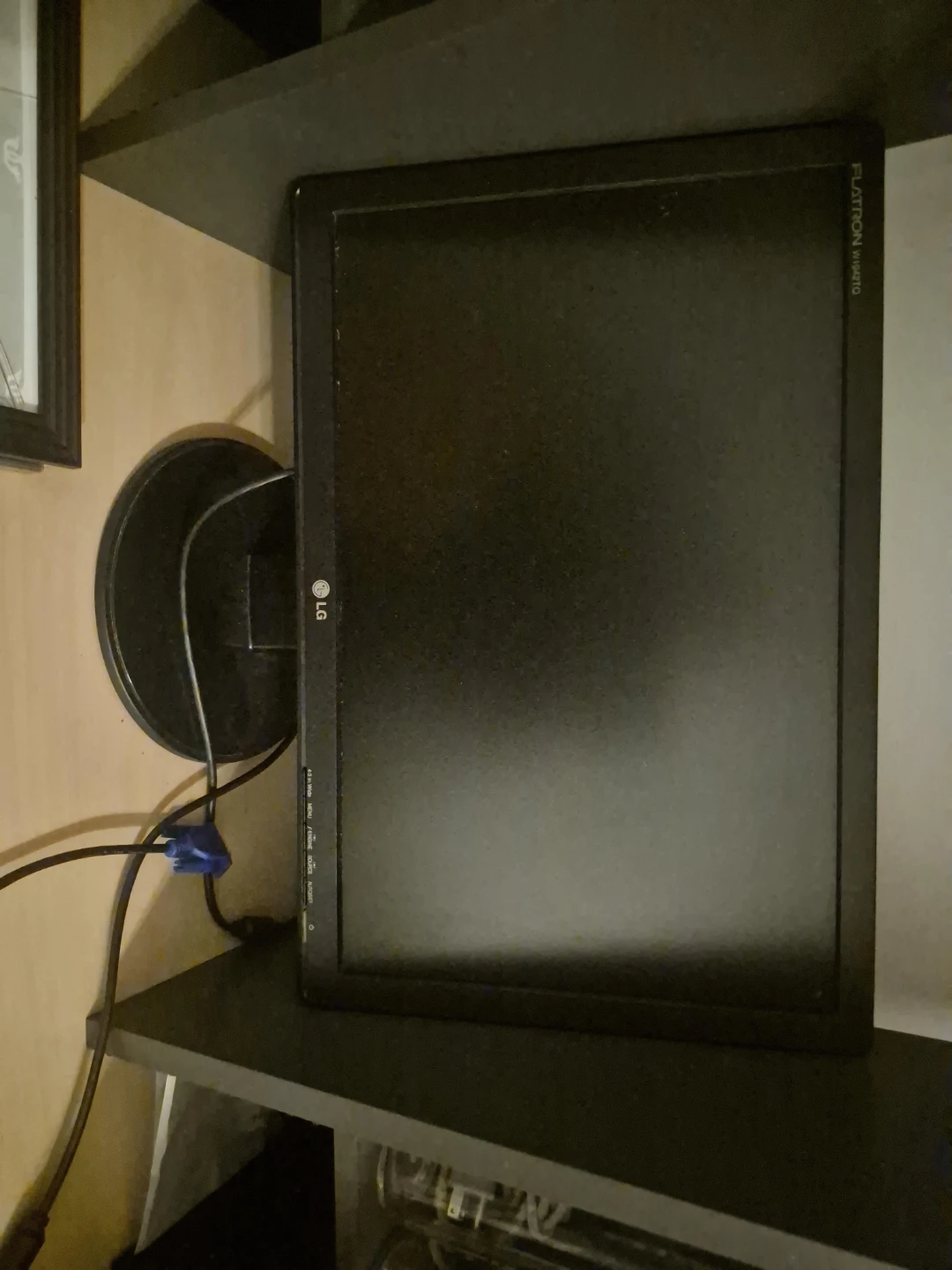 LG Flatron W1941S Monitor