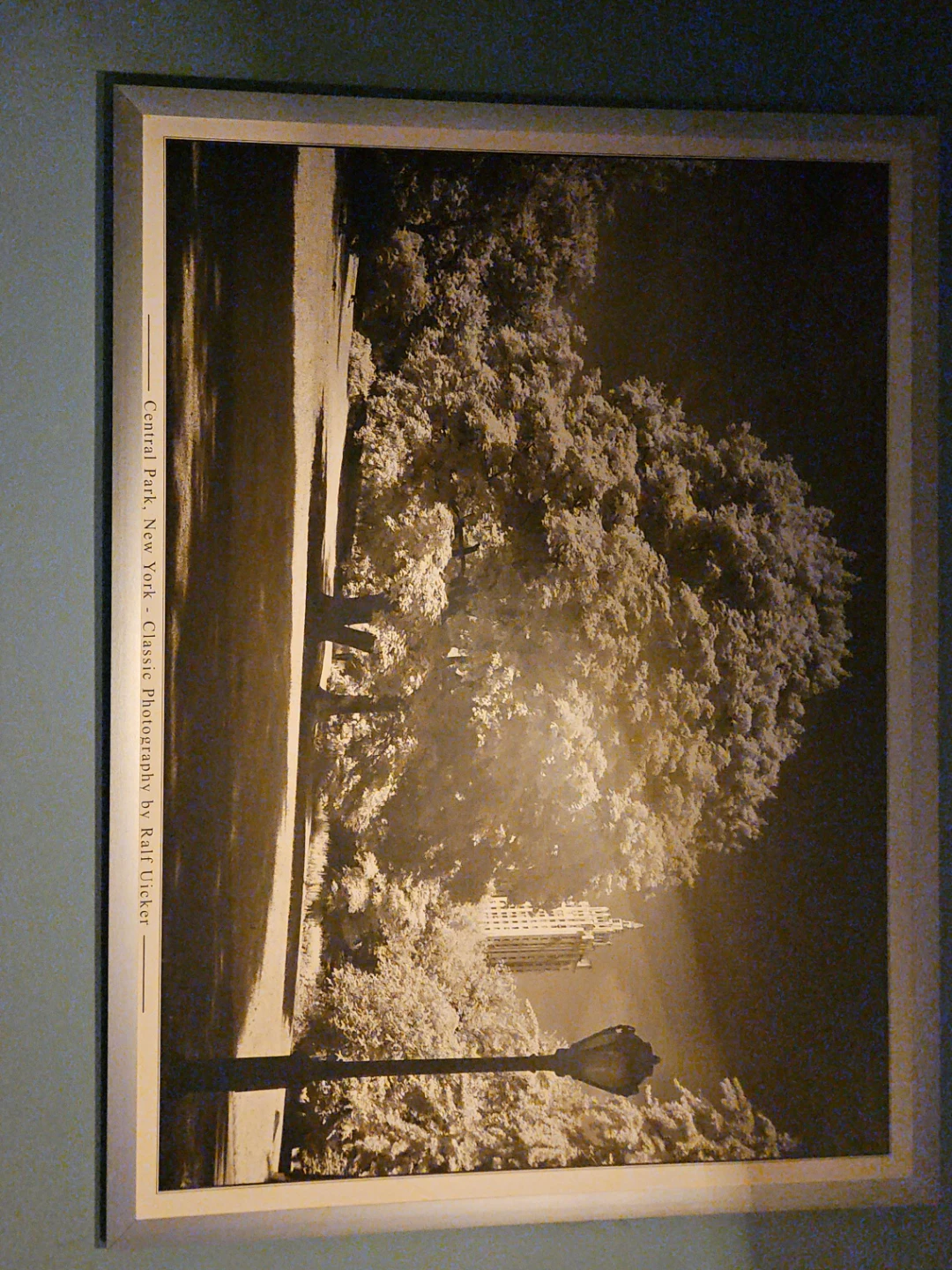 Classic Photography Print - Central Park, New York