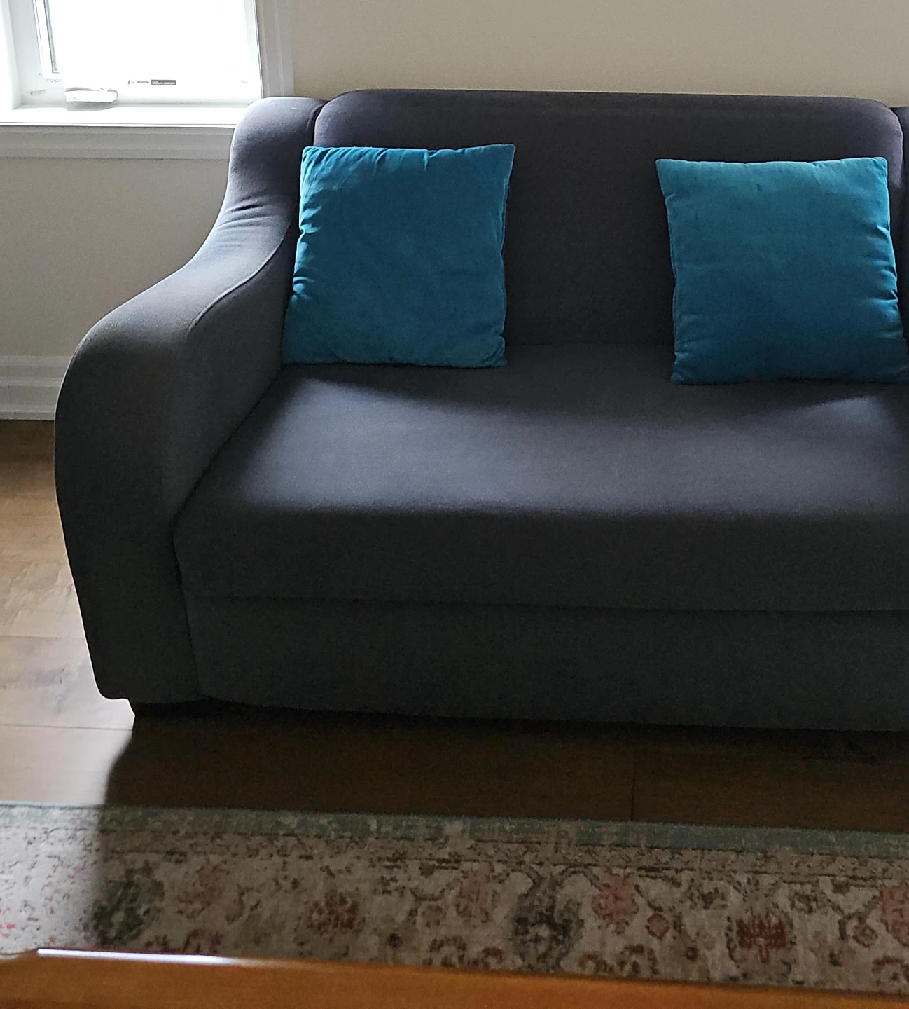 Dark Grey Sofa with Two Teal Cushions