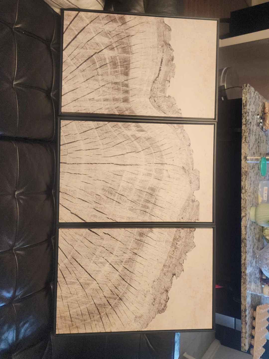 Set of 3 Framed Wood Slice Wall Art